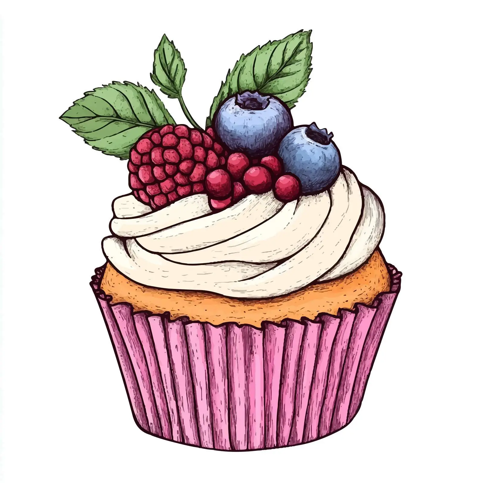 Hand-Drawn Cupcake with Berries and Mint – free raspberries image from Dotvec