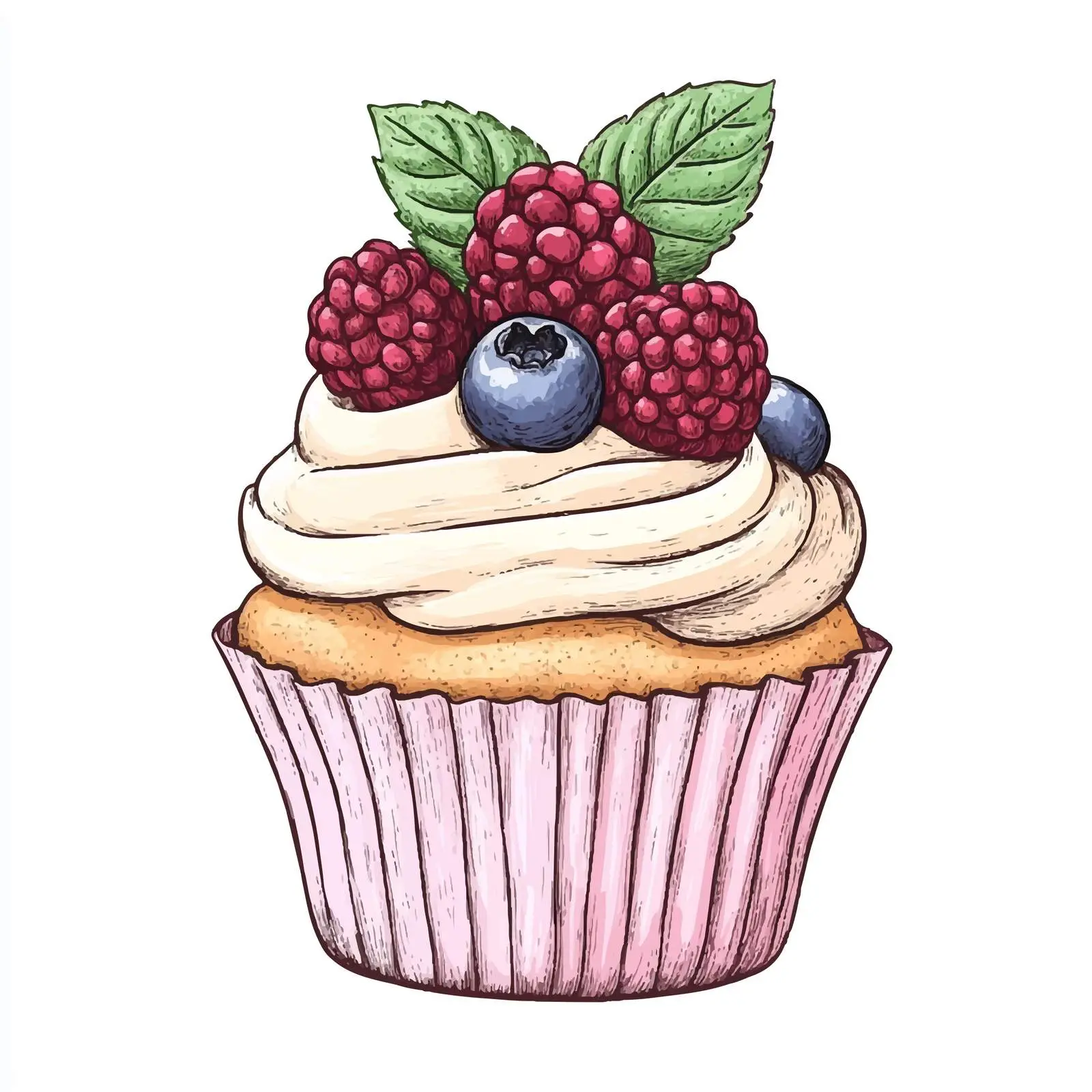 Hand-Drawn Cupcake with Berries and Mint — free download from Dotvec