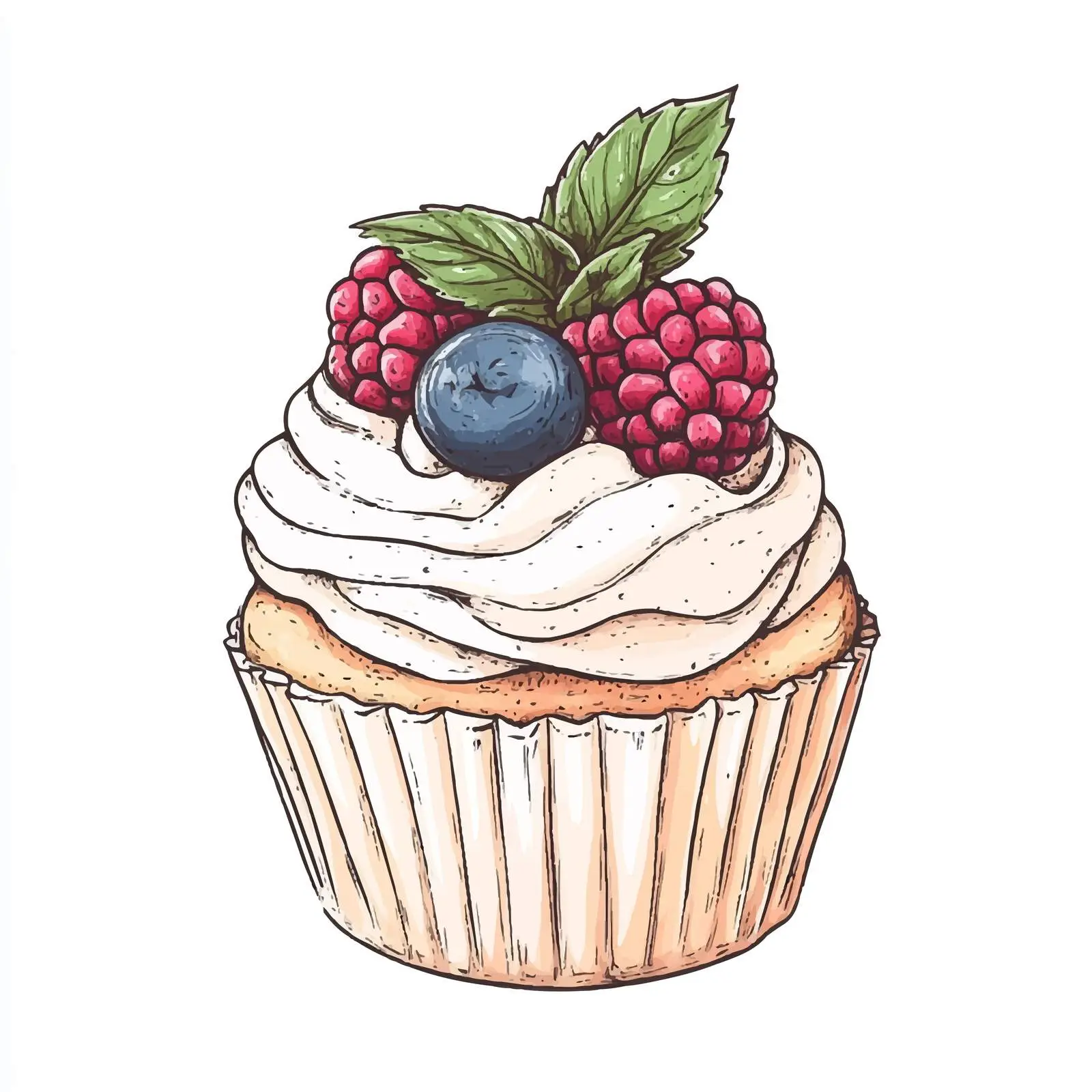 Hand Drawn Cupcake with Berries and Mint — free download from Dotvec