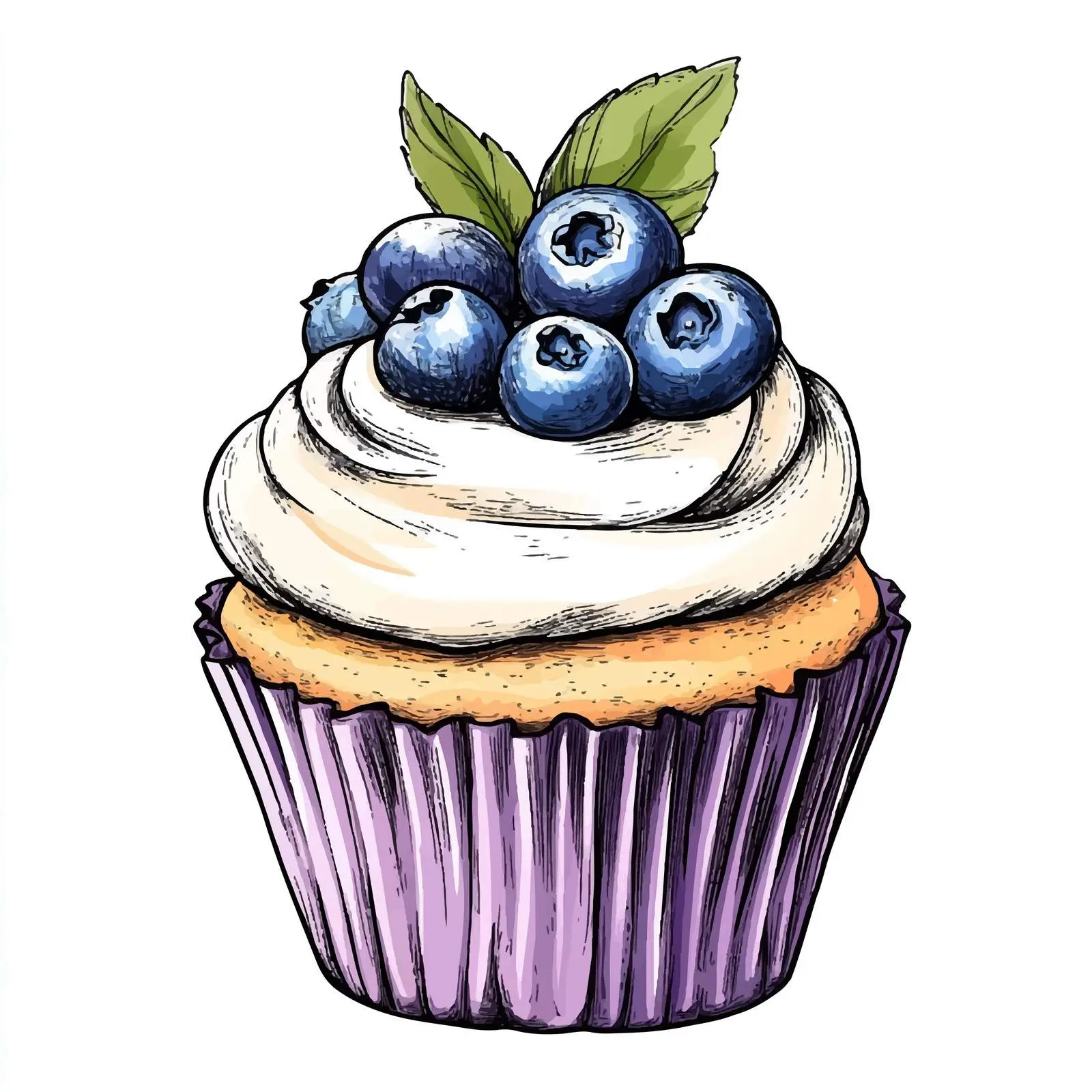 Hand-Drawn Blueberry Cupcake Sketch — free download from Dotvec