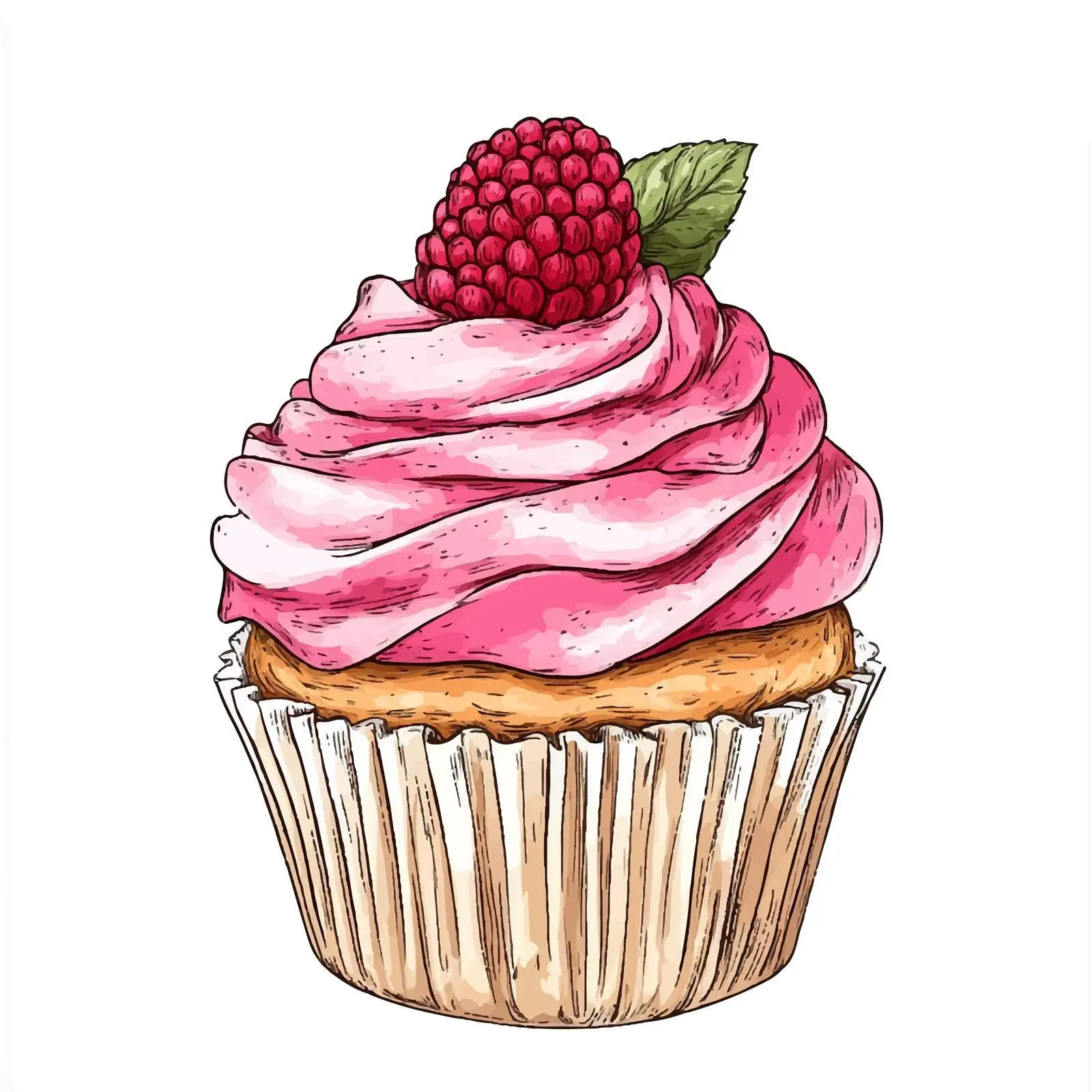 Hand Drawn Raspberry Cupcake Illustration — free download from Dotvec