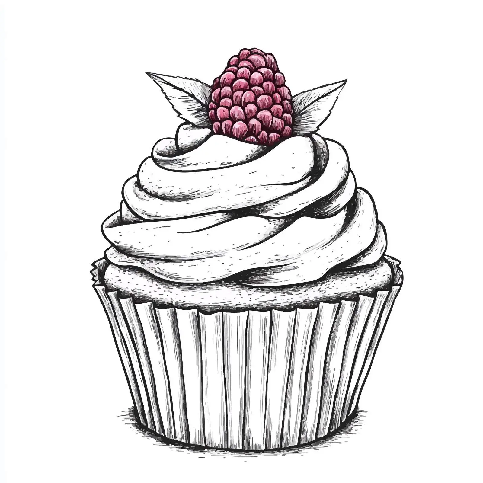 Hand-Drawn Cupcake with Raspberry Illustration — free download from Dotvec