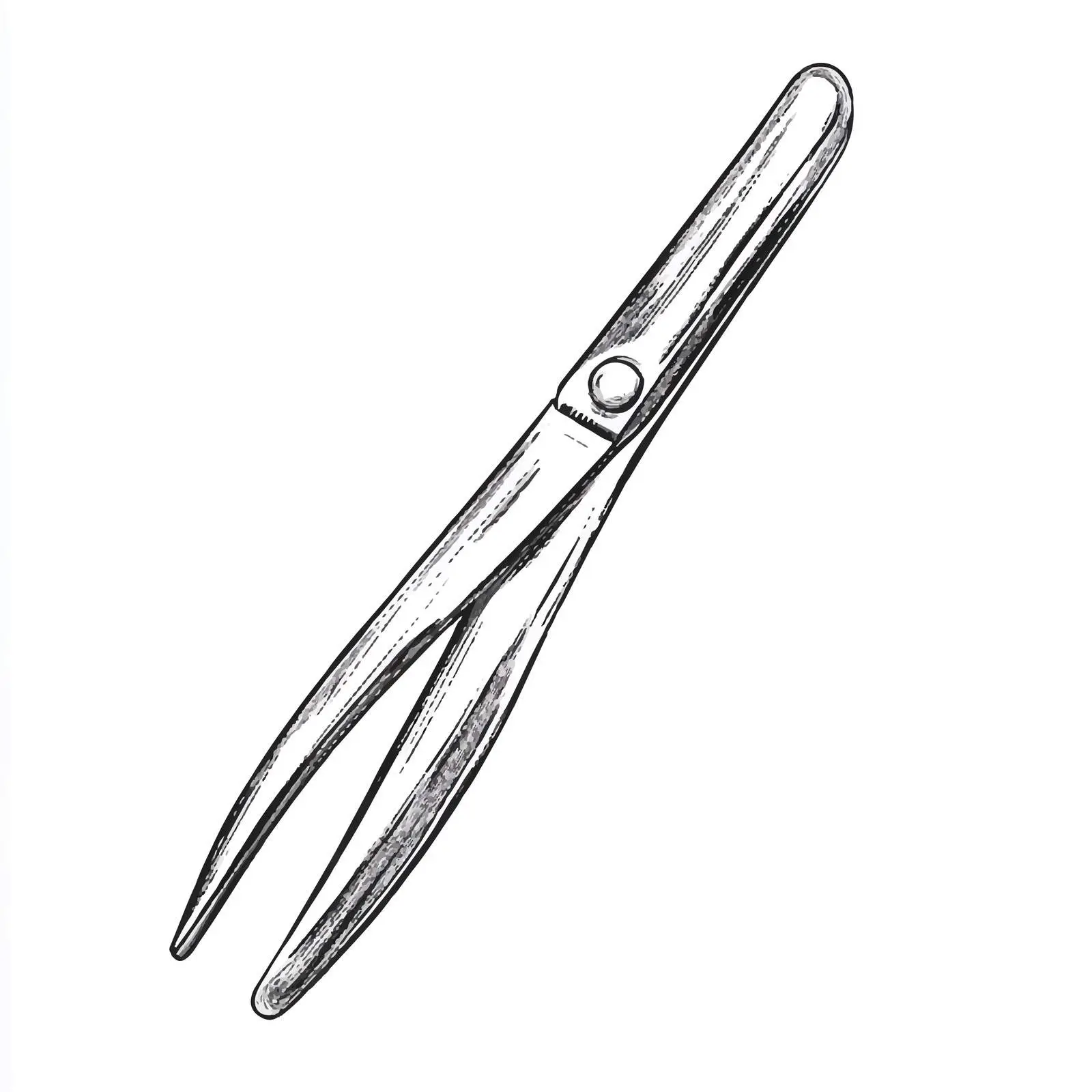 Hand-drawn Cuticle Cutter Illustration — free download from Dotvec