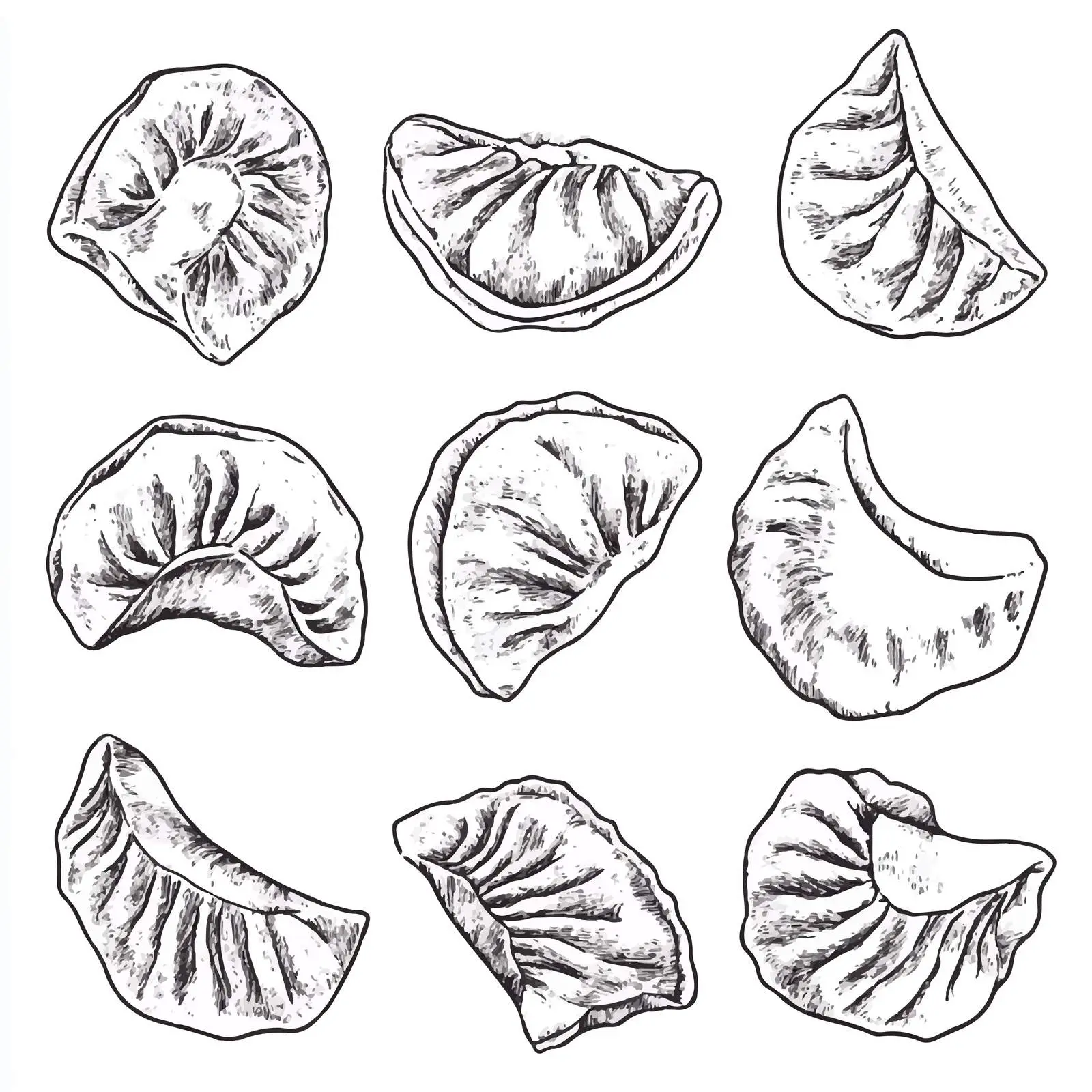 Hand-Drawn Dumpling Sketch on White Background – free dumpling image from Dotvec