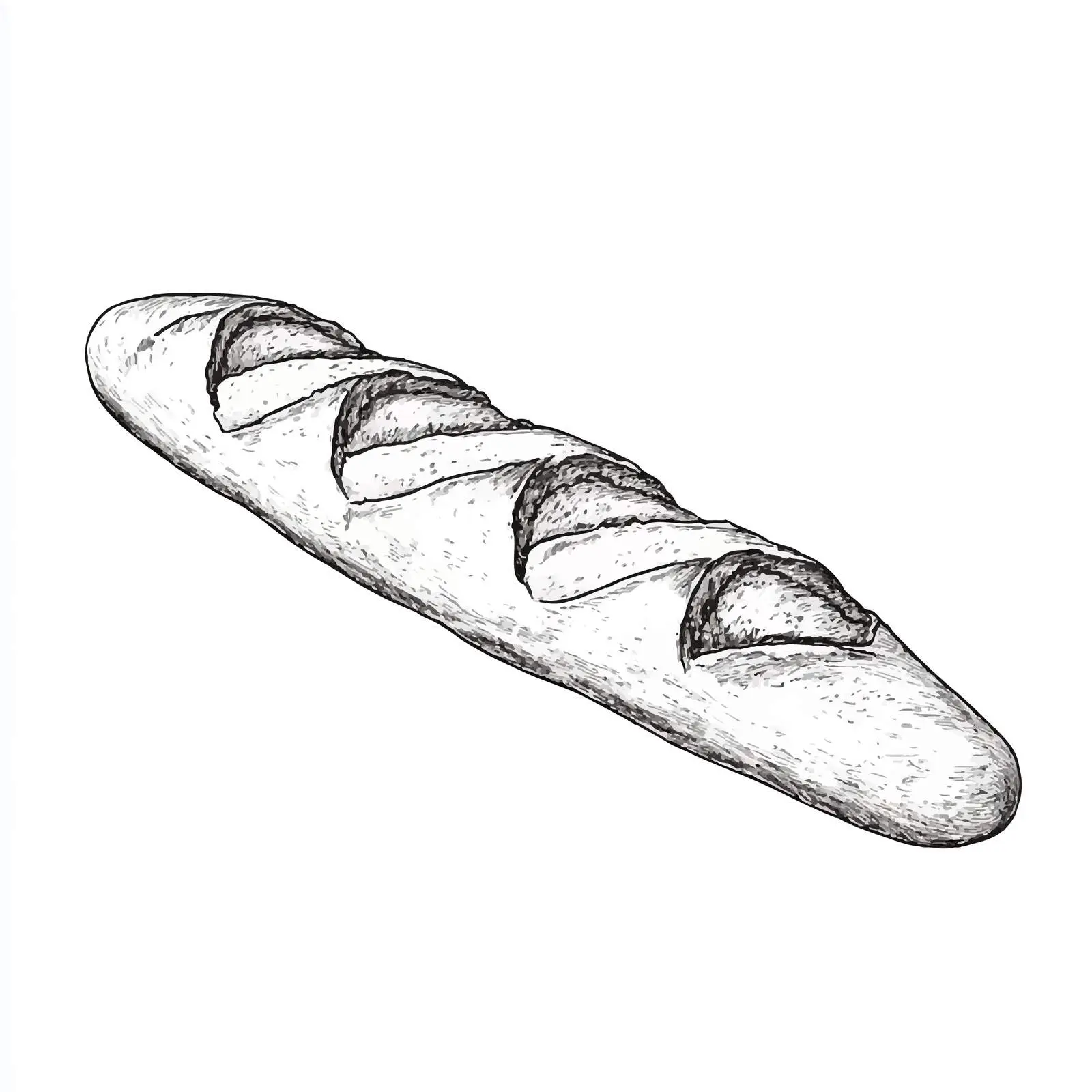 Hand-Drawn Sketch of French Baguette Bread — free download from Dotvec