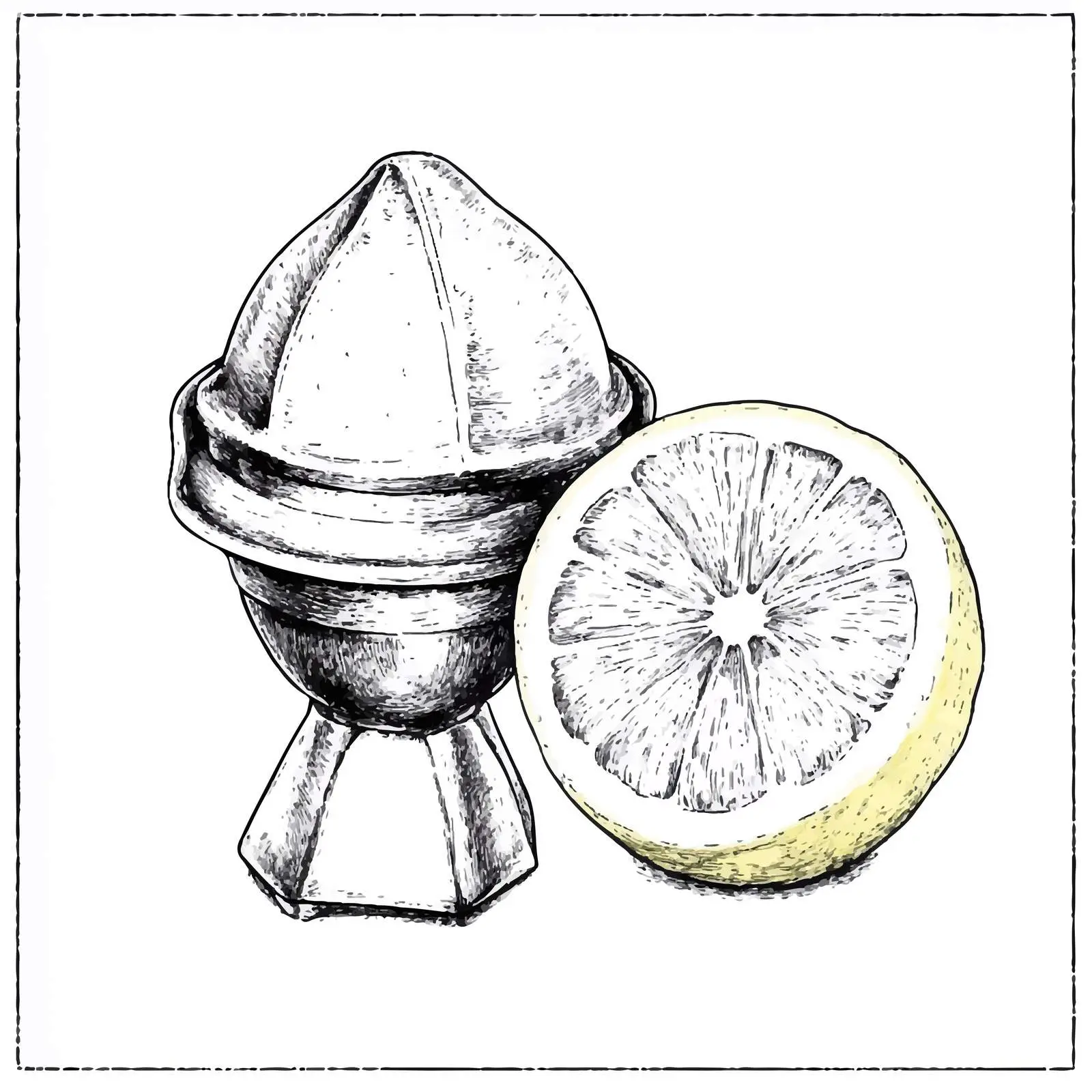 Hand Drawn Lemon Squeezer Sketch — free download from Dotvec
