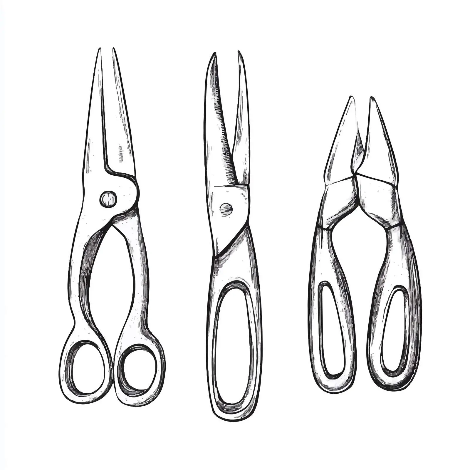 Hand-Drawn Nail Cutters Sketch on White Background – free sketch illustration image from Dotvec