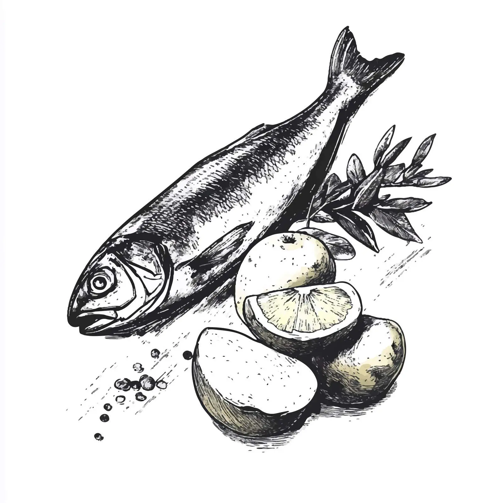 Hand-Drawn Sketch of Smoked Herring and Potato — free download from Dotvec