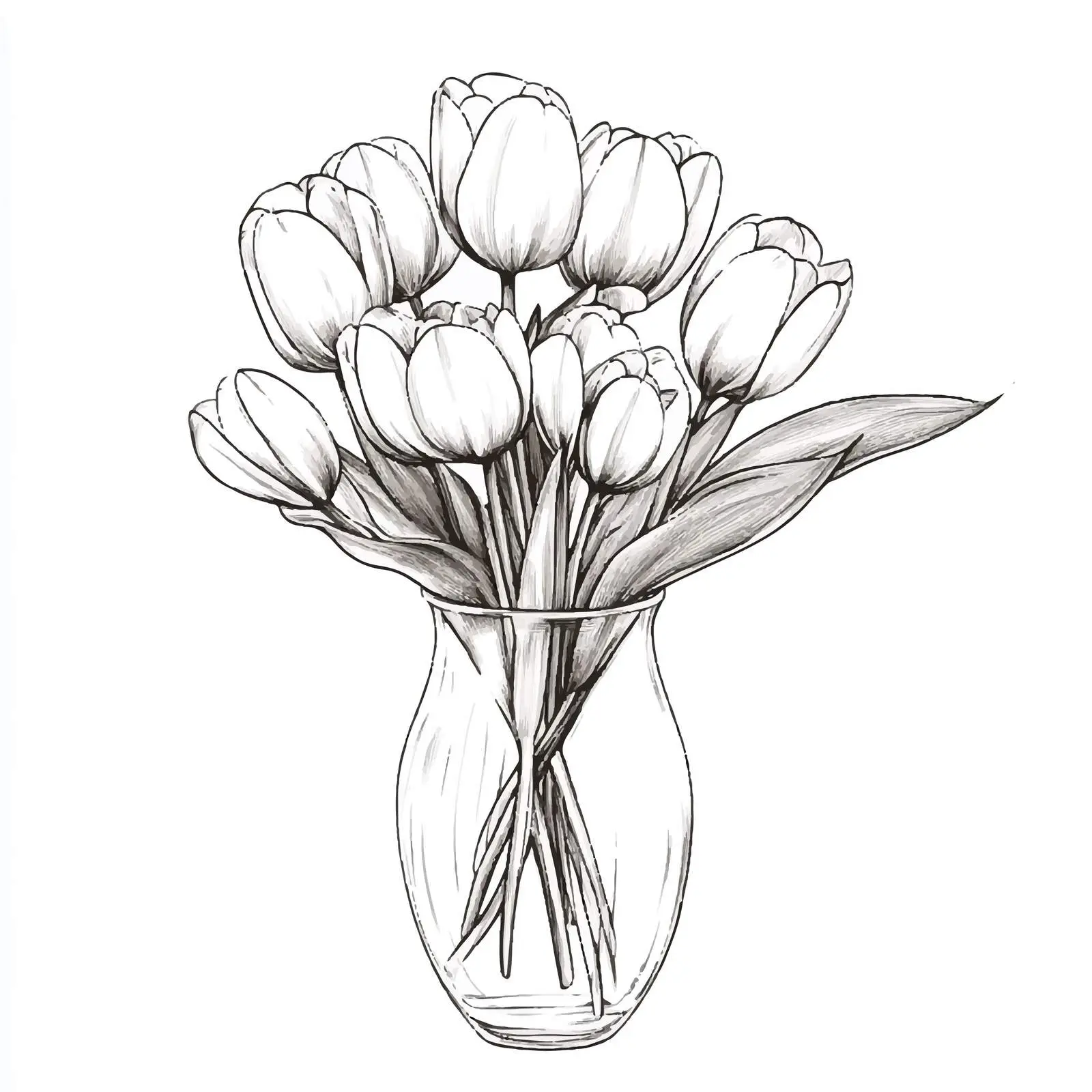 Hand-drawn Tulip Bouquet in Glass Vase — free download from Dotvec