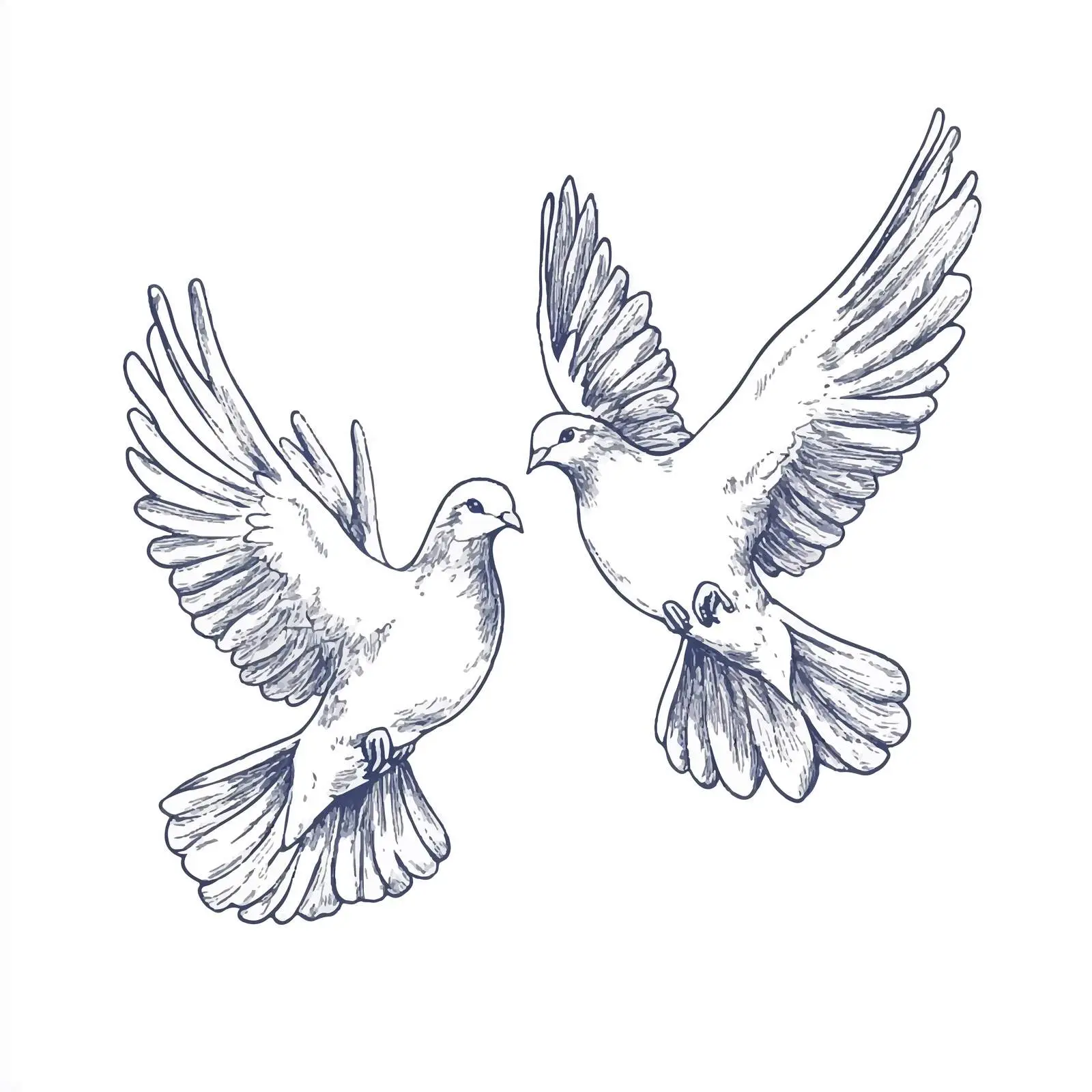 Hand-Drawn Sketch of Two Flying Doves — free download from Dotvec