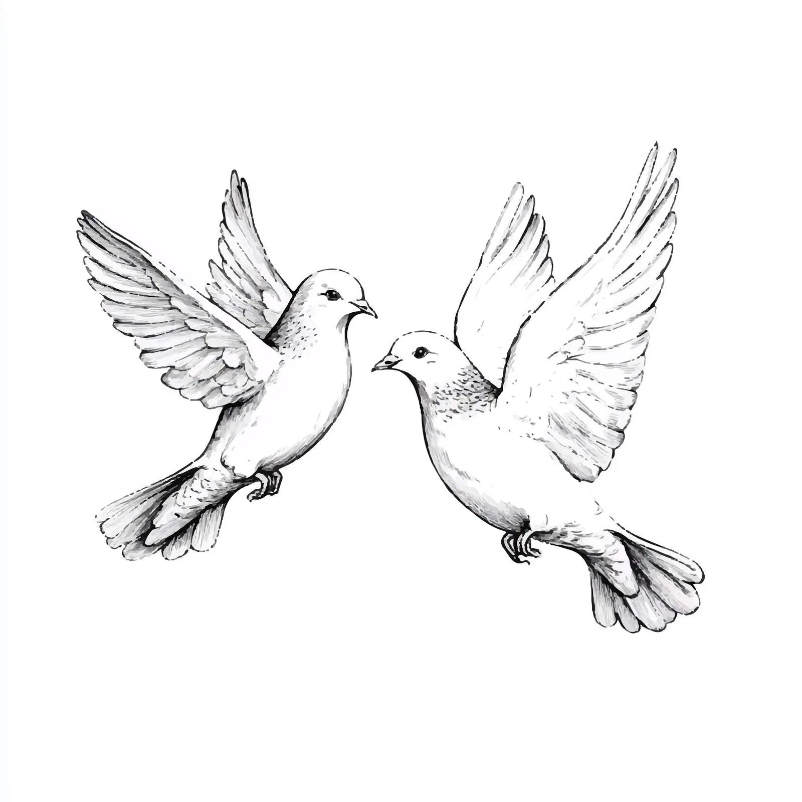 Elegant Hand-Drawn Flying Doves Illustration — free download from Dotvec