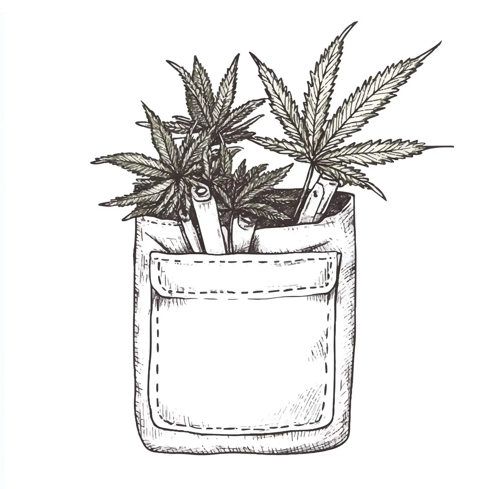 Hand Drawn Weed in Transparent Pocket Illustration — free download from Dotvec
