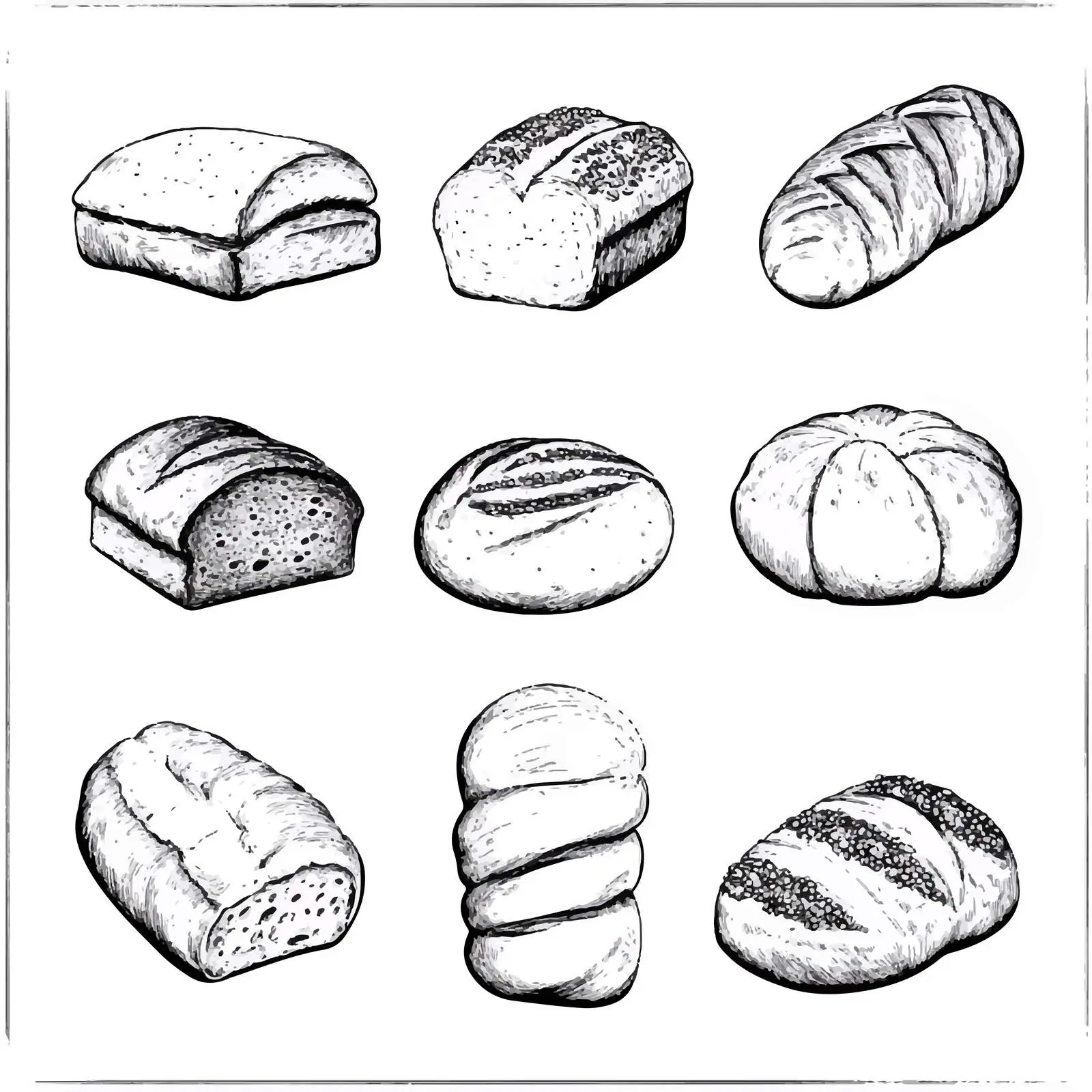 Hand Drawn Bread Types Vector Collection — free download from Dotvec