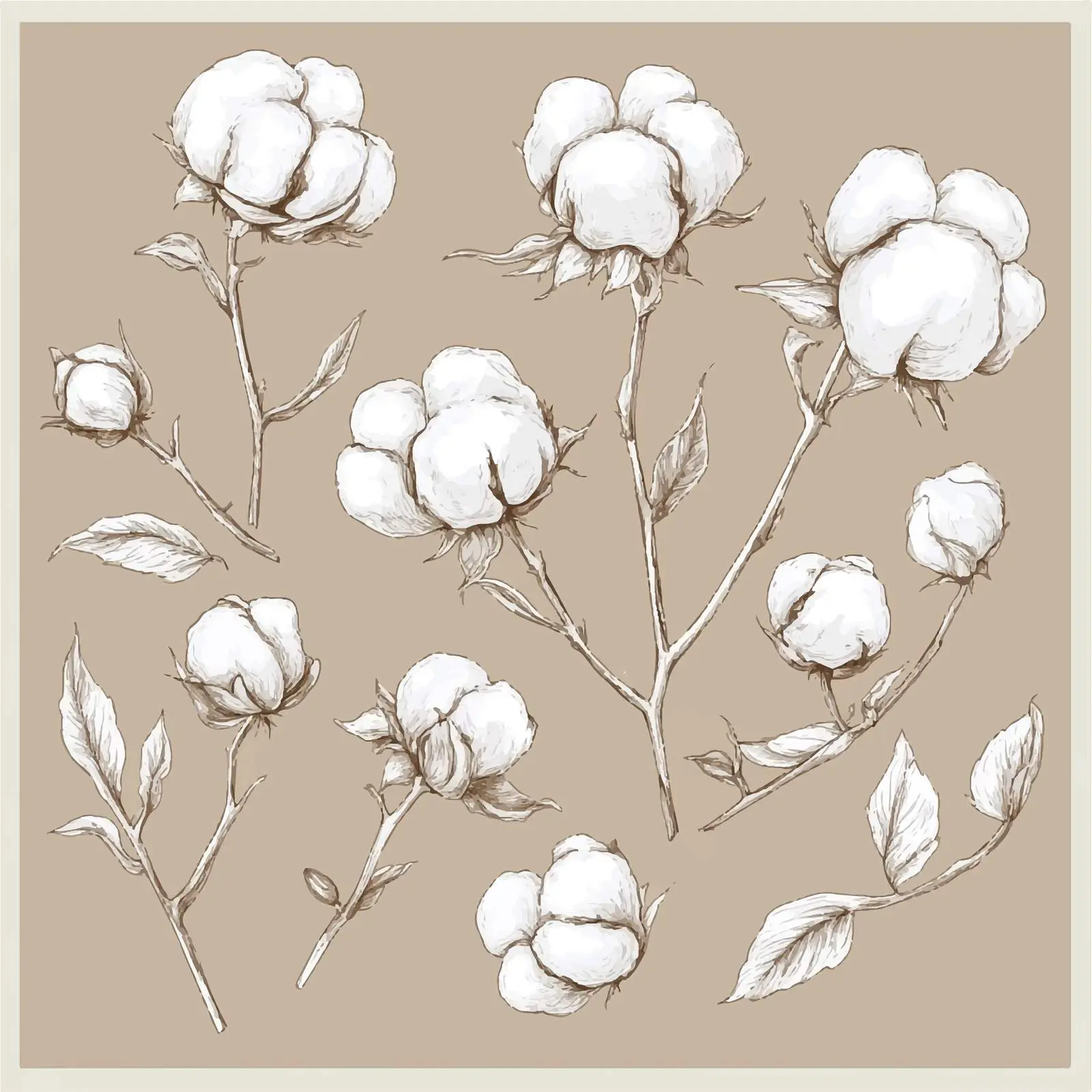 Hand-Drawn Cotton Sketch Set — free download from Dotvec