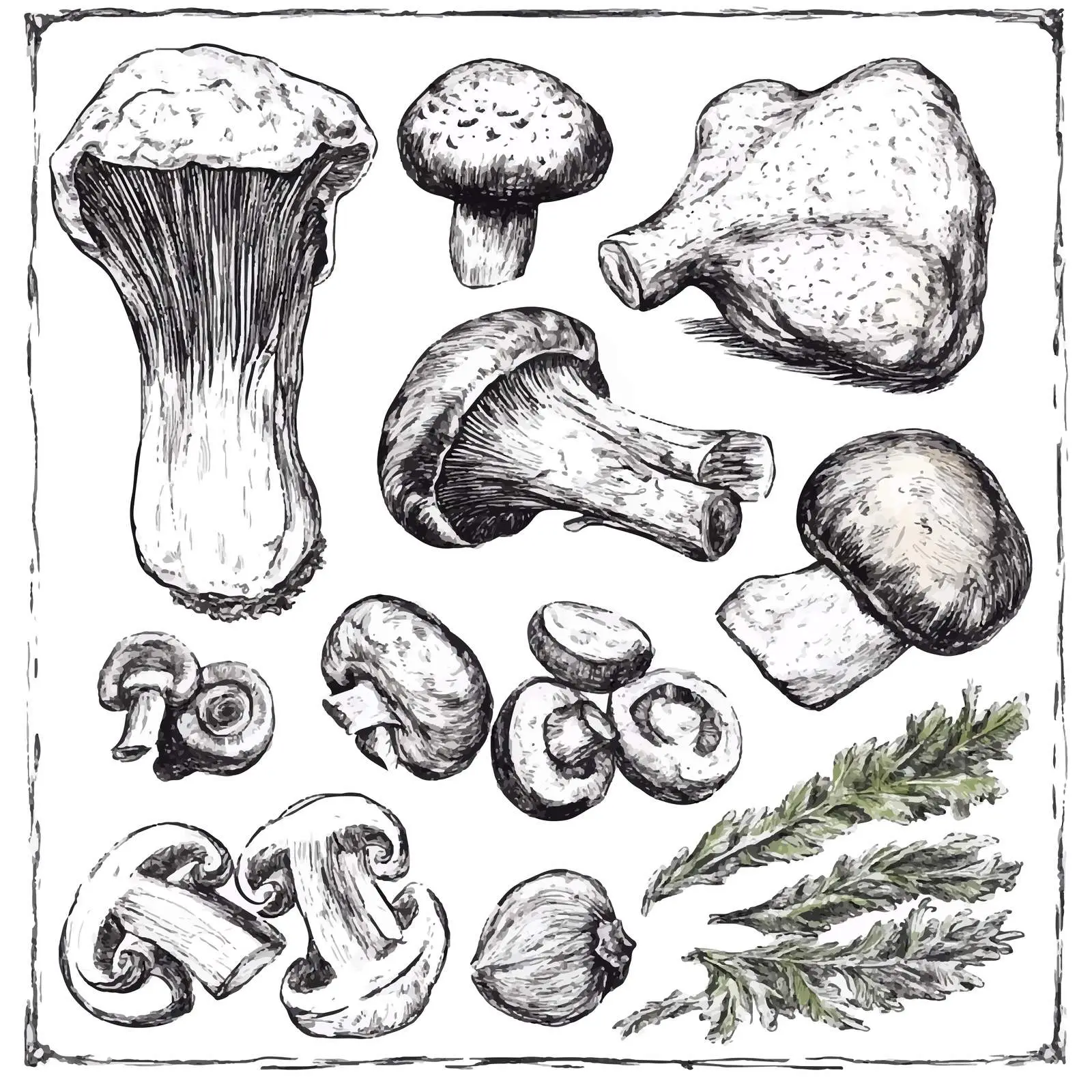 Chic Hand-Drawn French Cuisine Sketch Set — free download from Dotvec