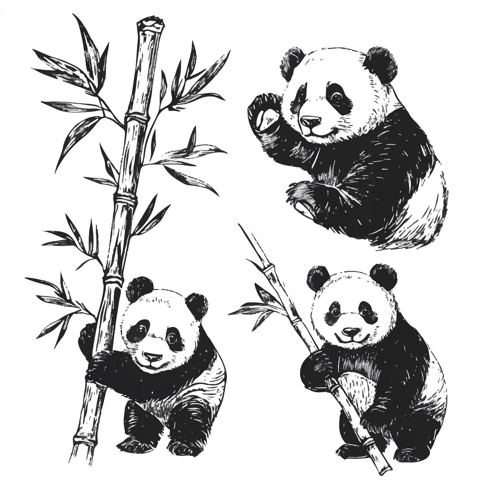 Hand-Drawn Panda Bear Sketch Set on White Background — free download from Dotvec