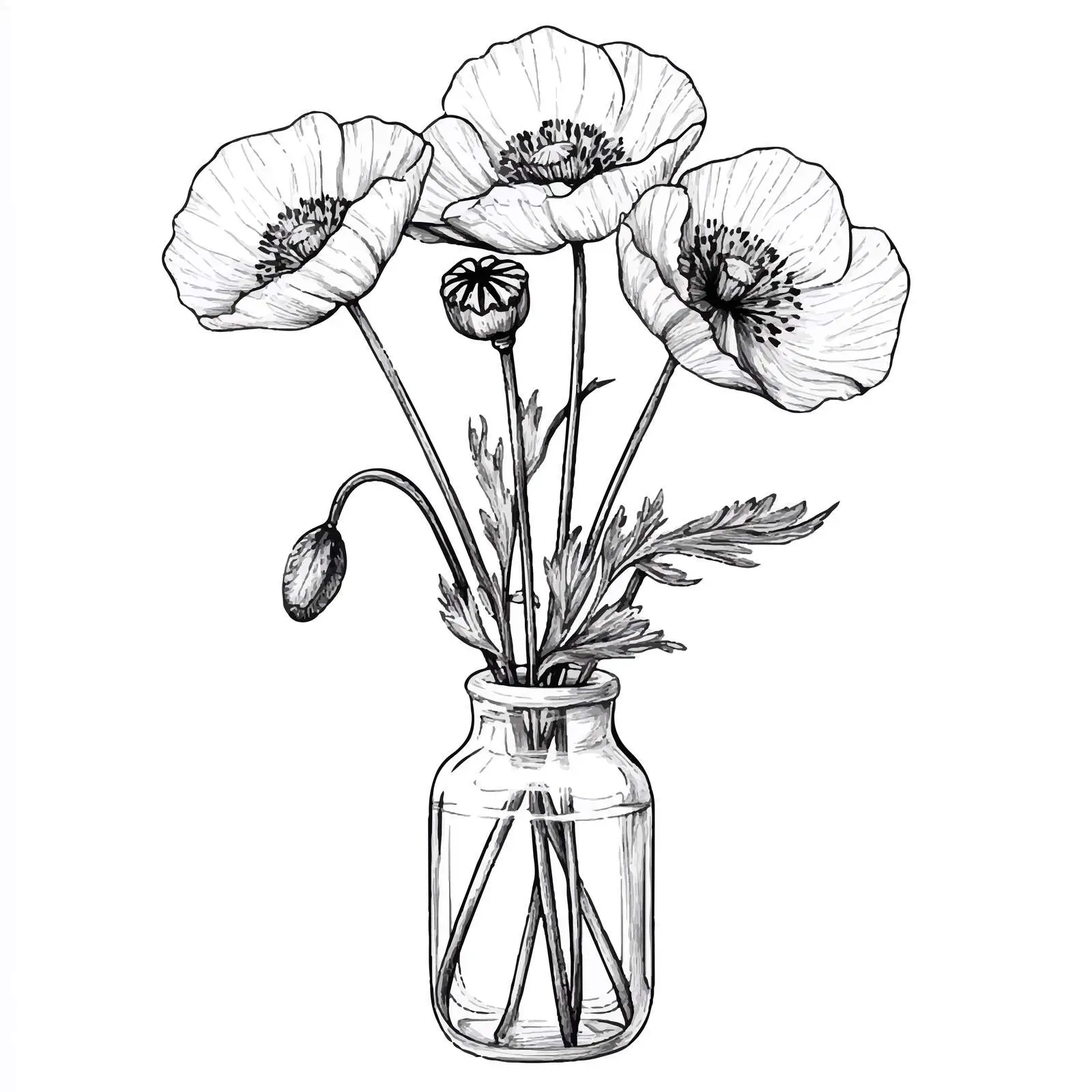 Hand-Drawn Poppy Flower Sketch Collection — free download from Dotvec