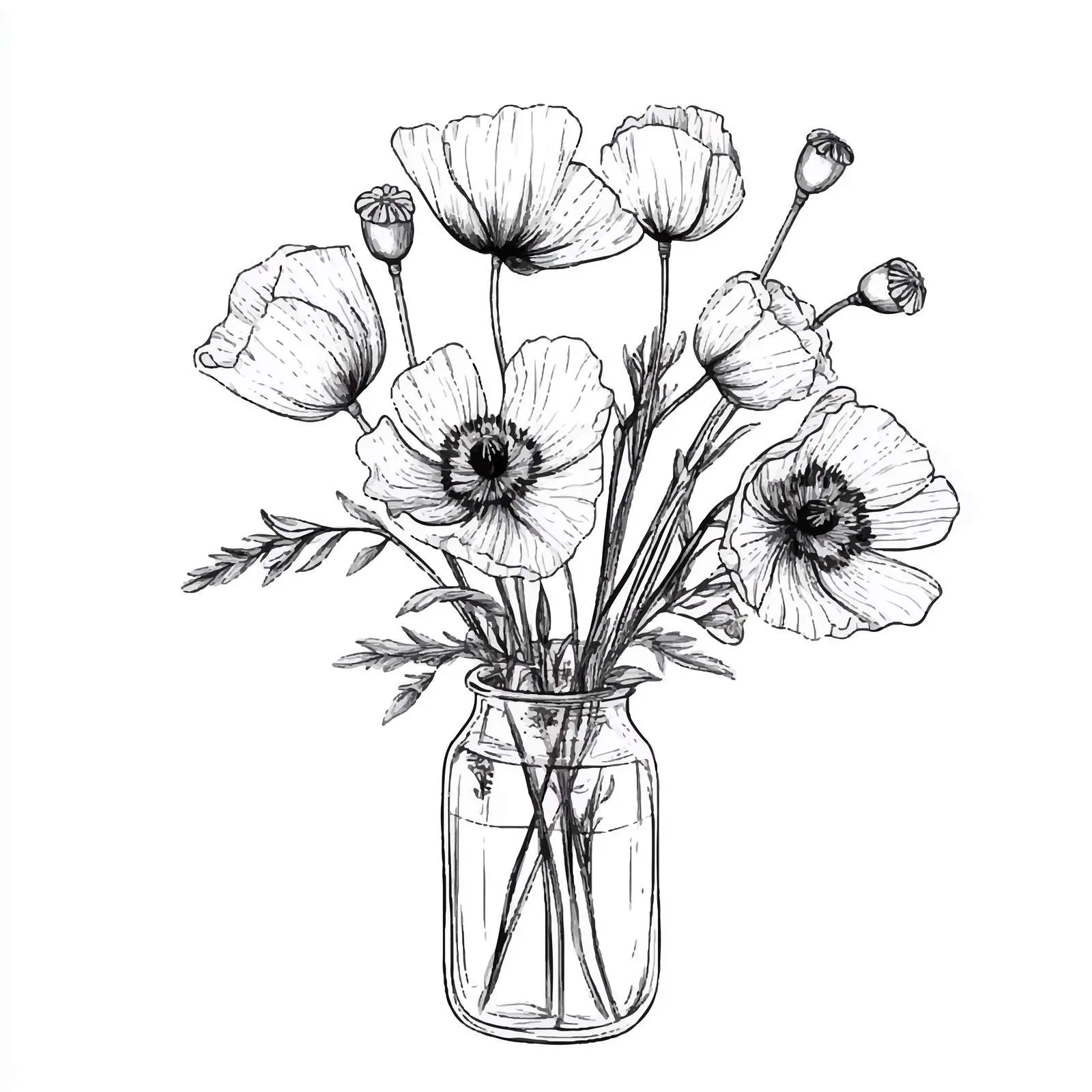 Hand-Drawn Poppy Flower Sketch Set — free download from Dotvec