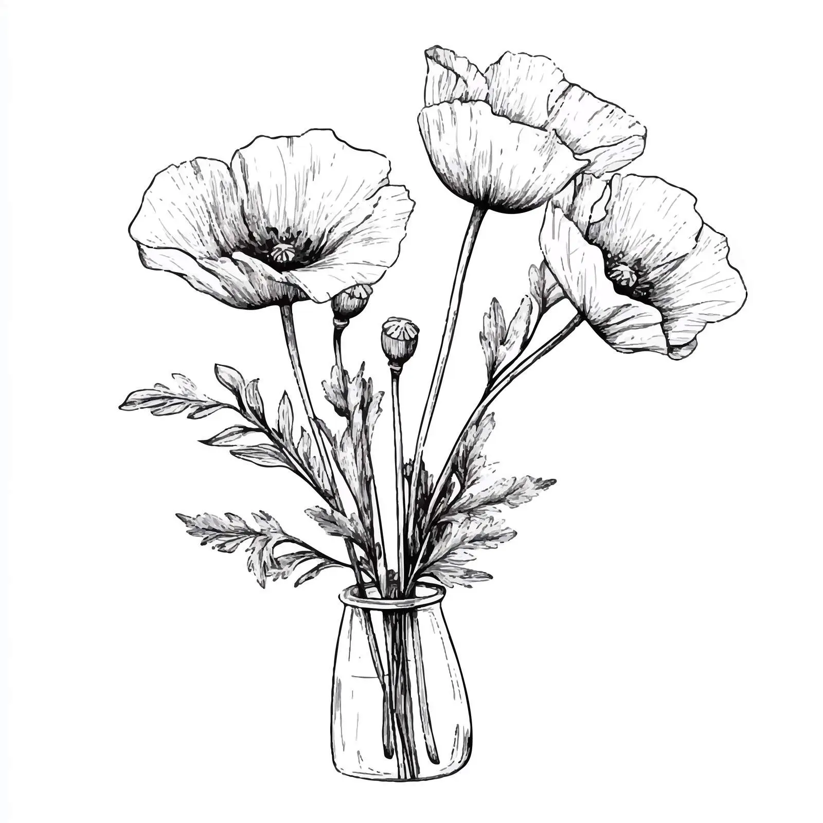 Hand-Drawn Poppy Flower Sketch Set — free download from Dotvec