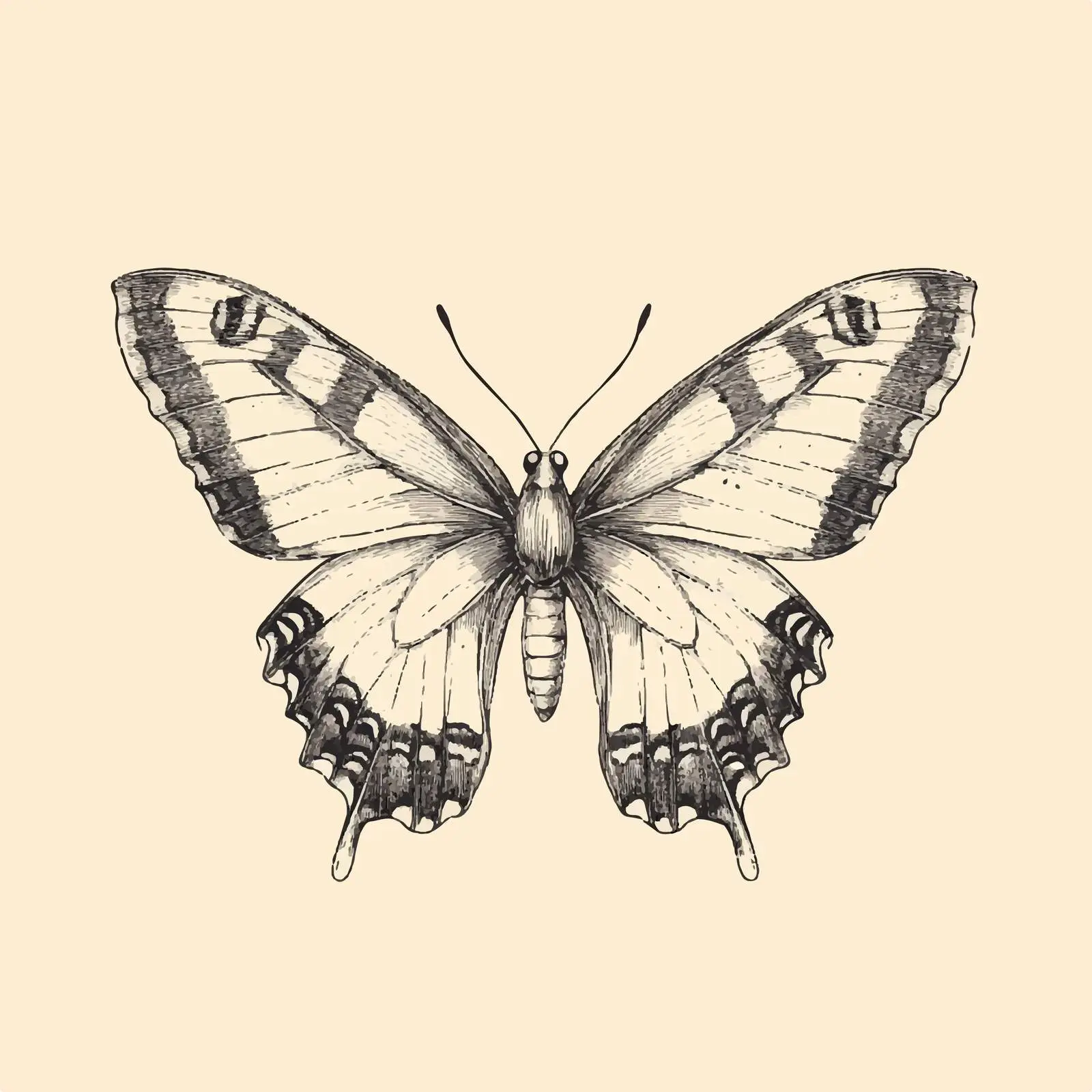 Retro Hand-Drawn Butterfly Vector Illustration — free download from Dotvec