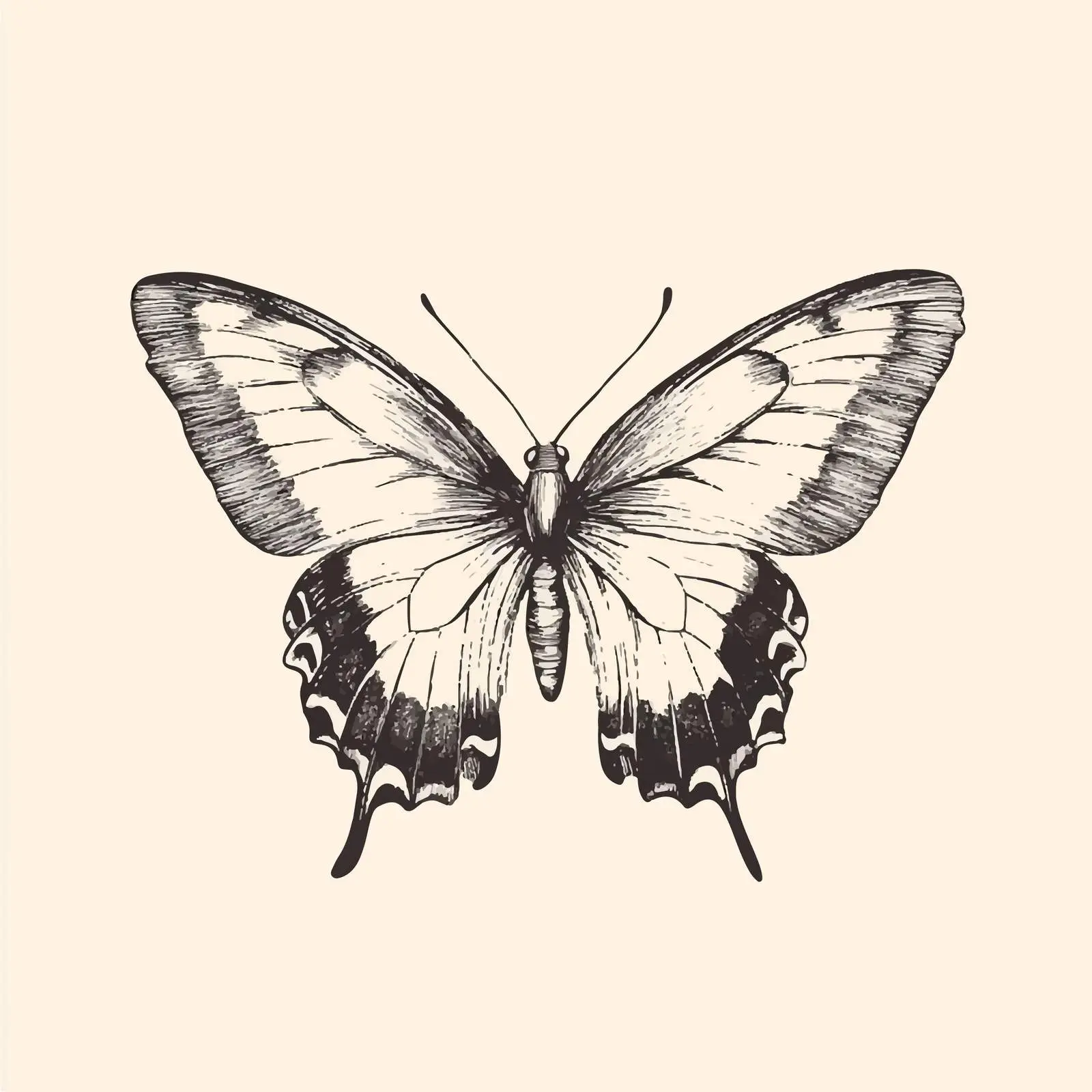 Retro Hand-Drawn Butterfly Vector Illustration — free download from Dotvec