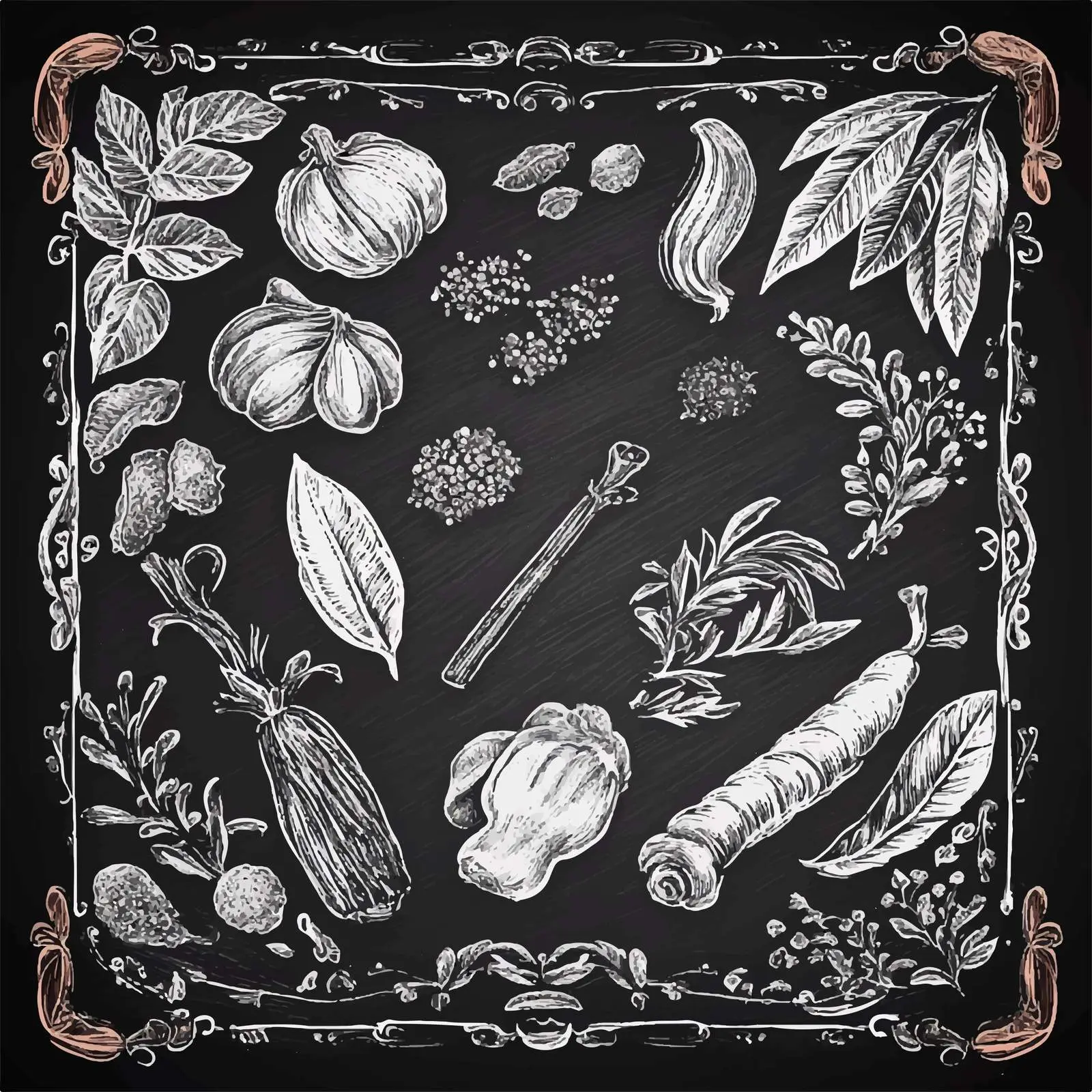 Hand-Drawn Spices and Seasonings Sketch Collection — free download from Dotvec
