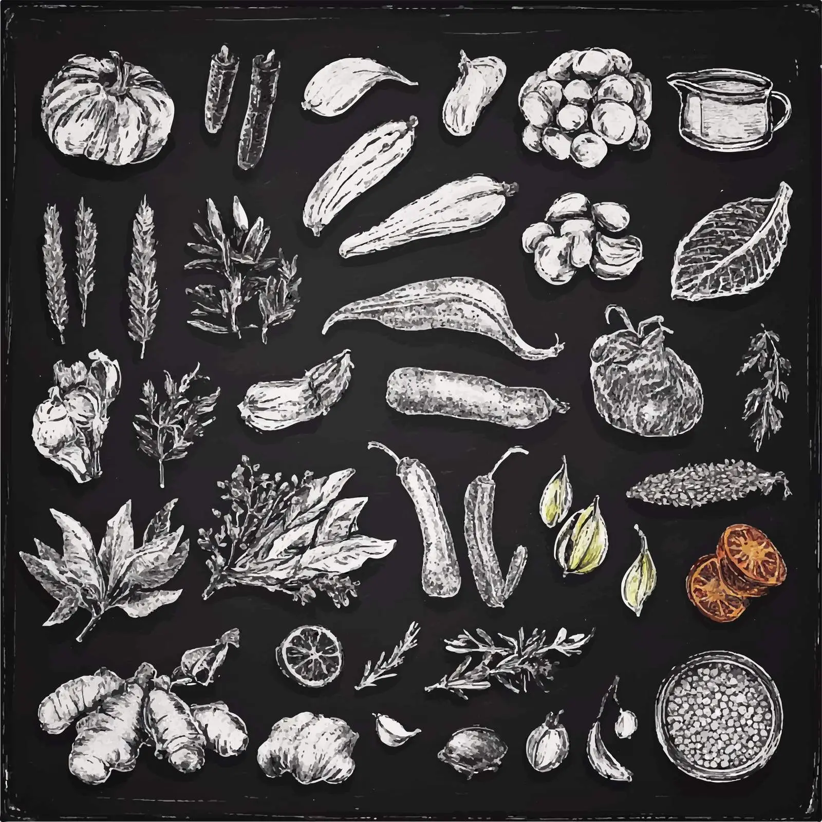 Hand-Drawn Spices and Seasonings Sketches Set — free download from Dotvec