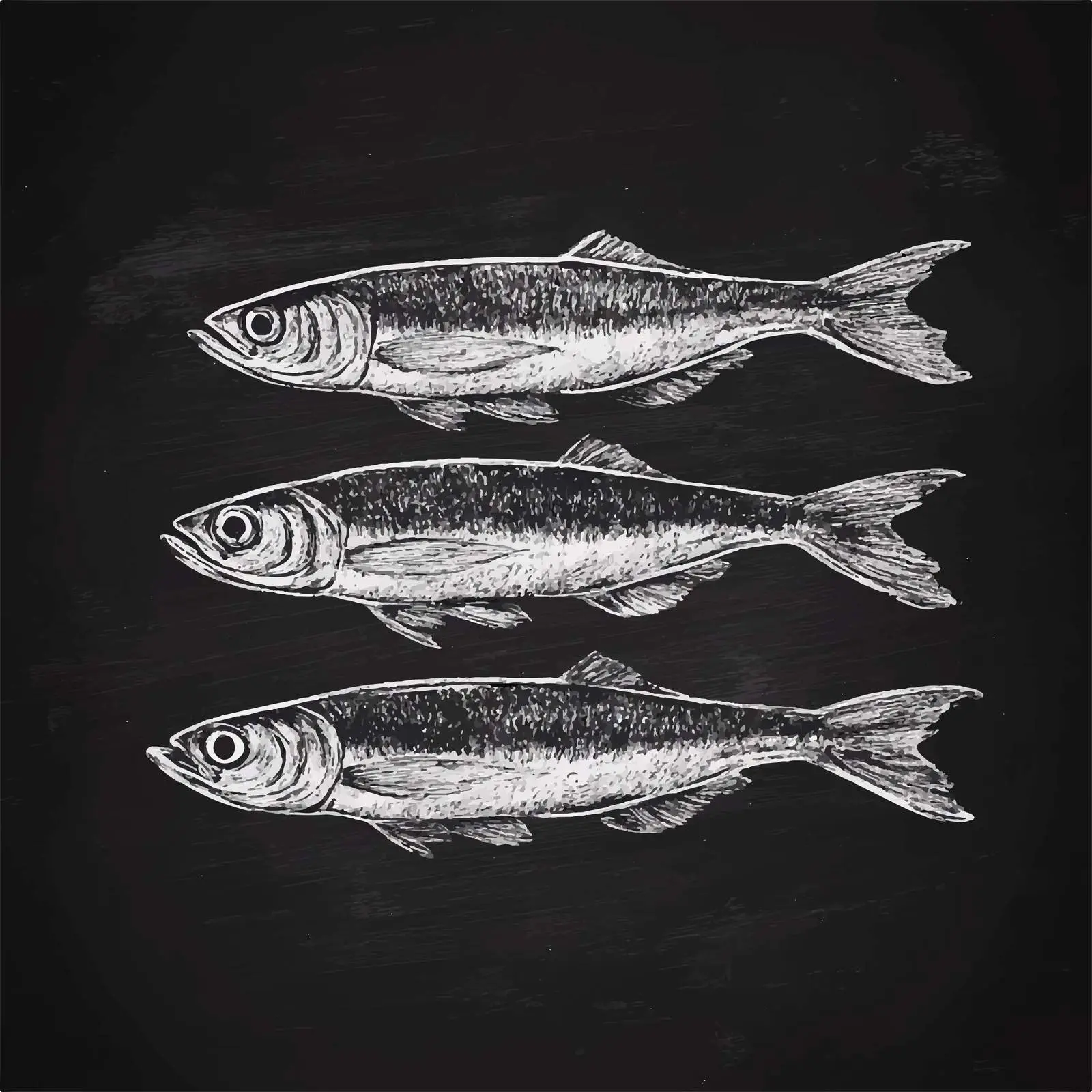Hand Drawn Sprats Sketch on Chalkboard — free download from Dotvec