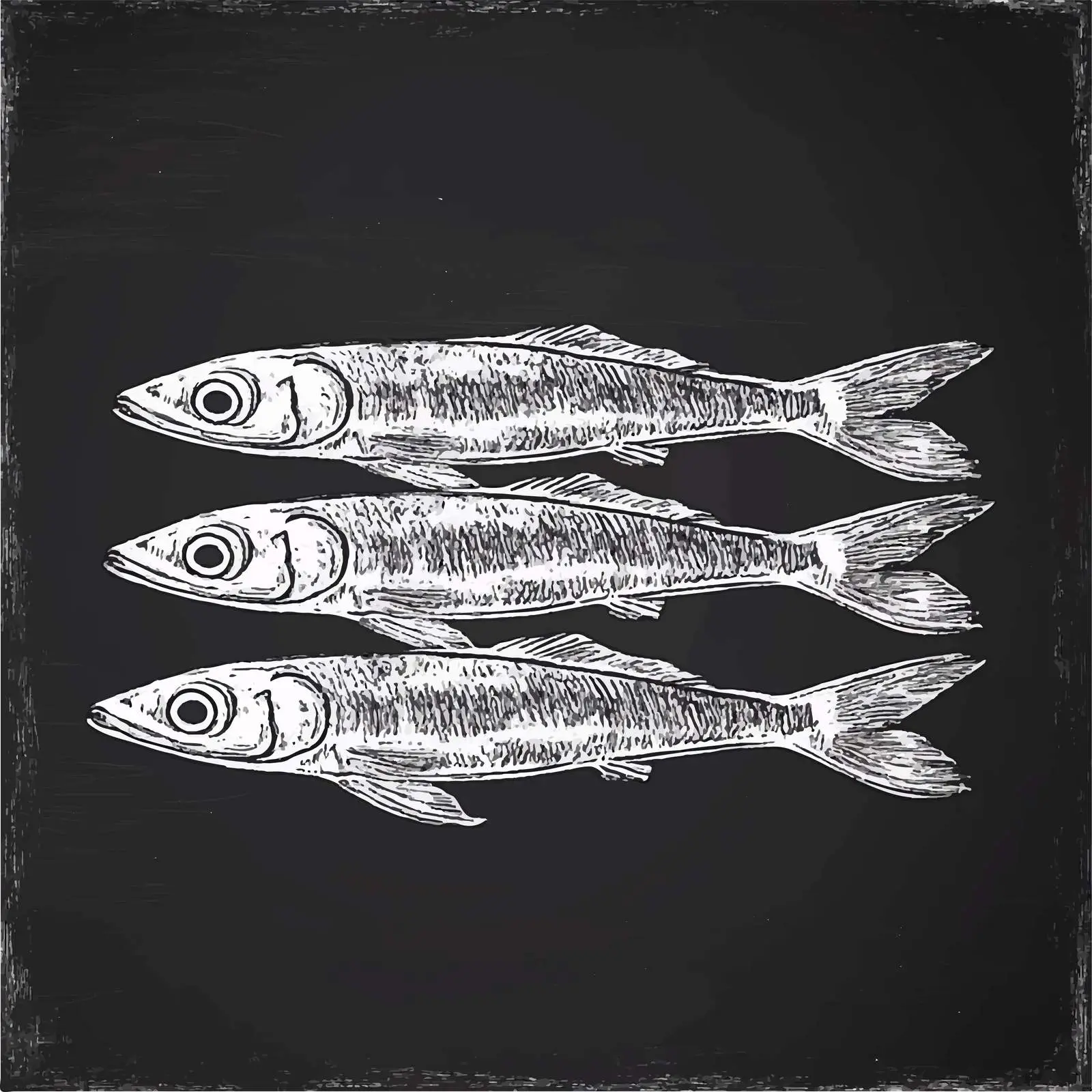 Hand-Drawn Sprats Sketch Vector on Chalkboard — free download from Dotvec