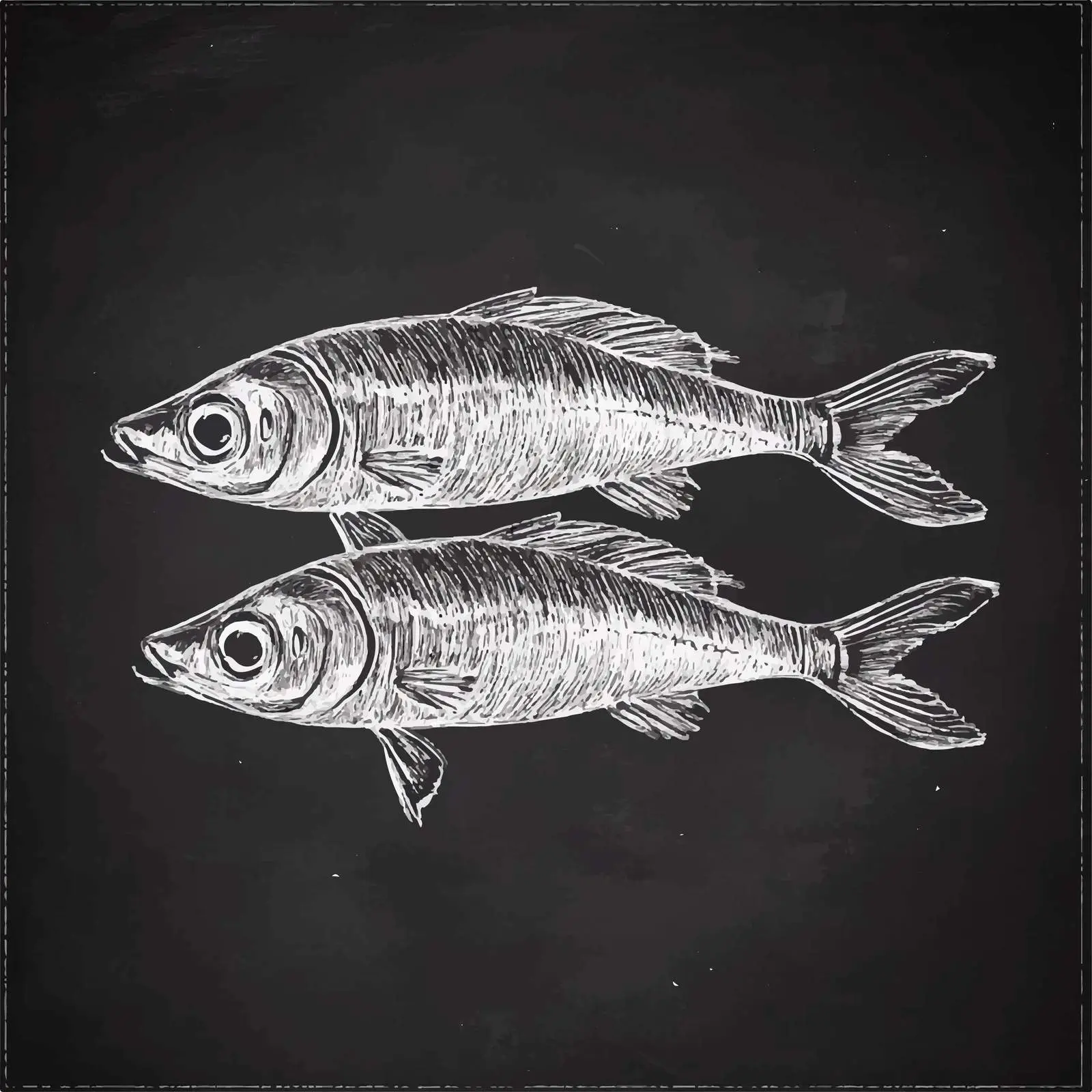 Hand Drawn Sprats Sketch on Chalkboard — free download from Dotvec