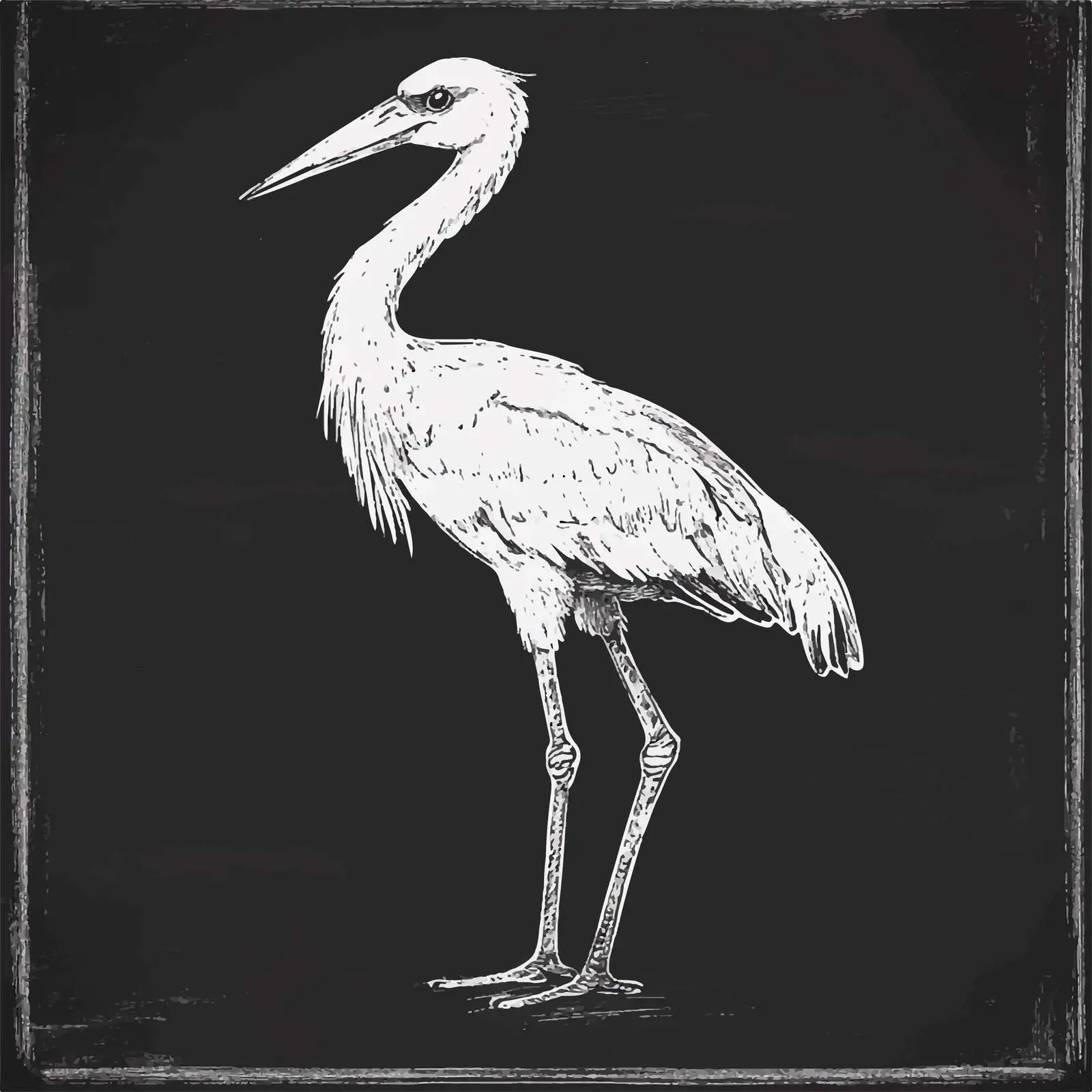 Hand Drawn Stork Sketch on Chalkboard — free download from Dotvec