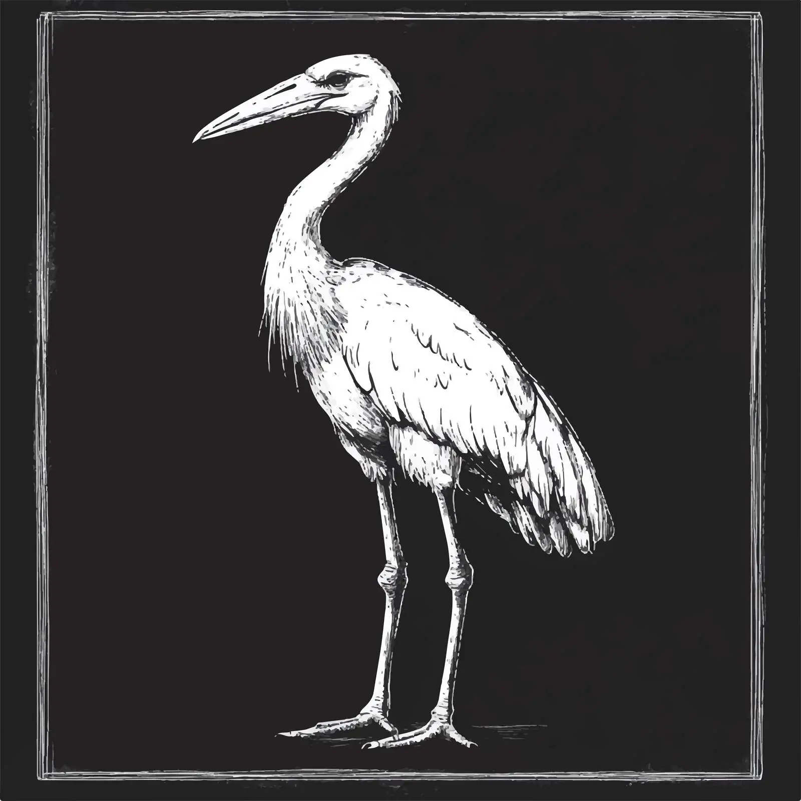 Hand Drawn Stork Sketch Vector on Chalkboard — free download from Dotvec