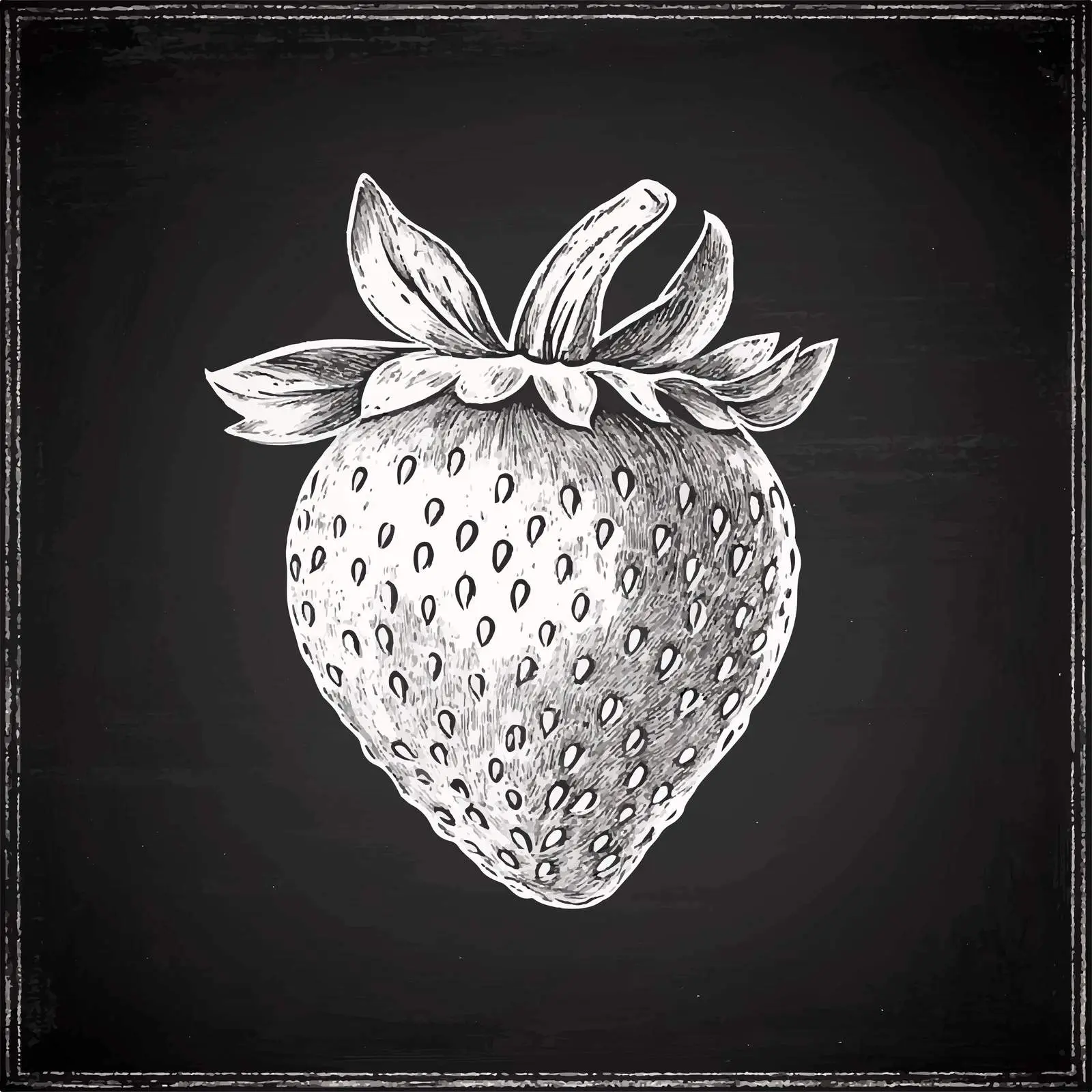 Hand Drawn Strawberry Sketch on Chalkboard — free download from Dotvec