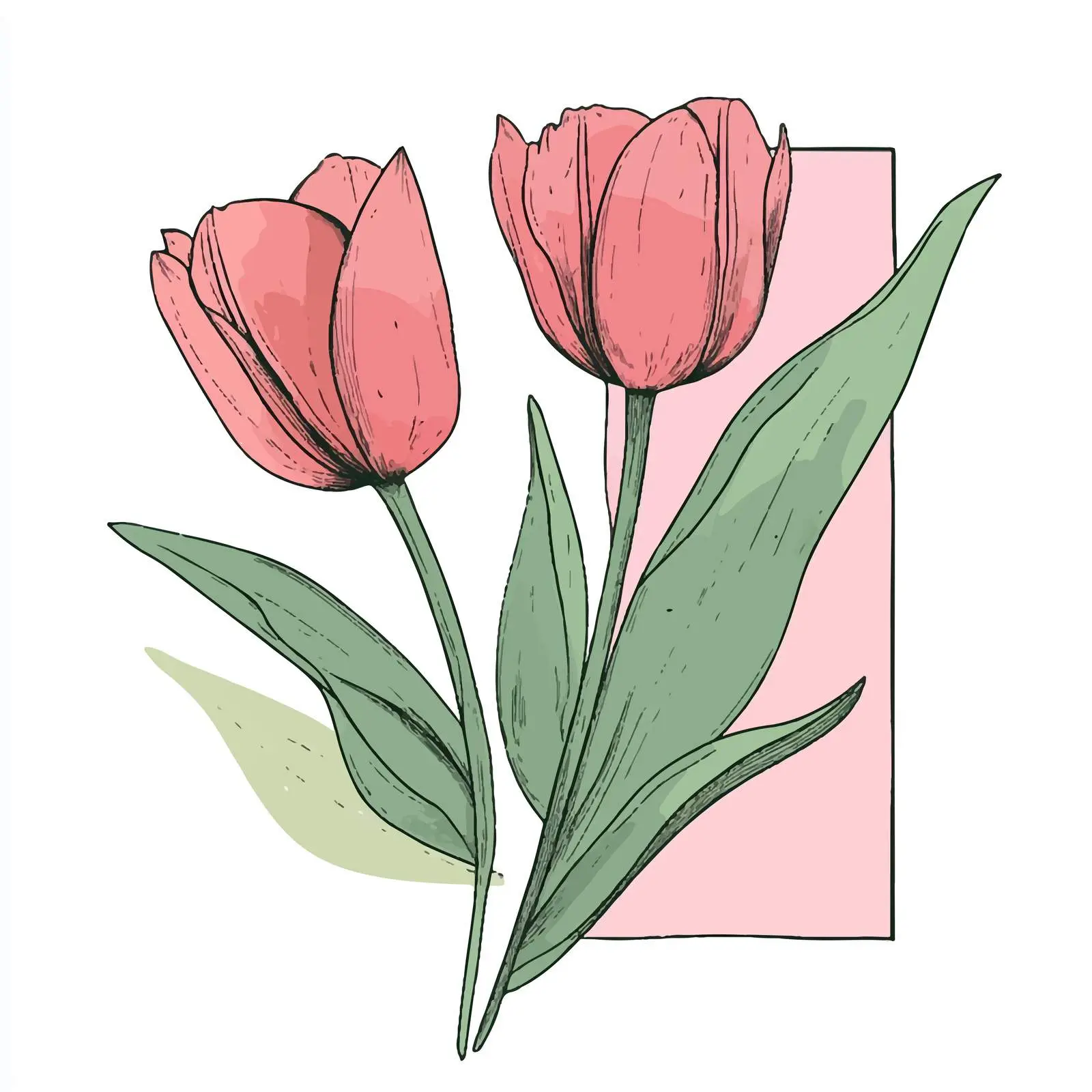 Hand Drawn Tulip Flower Sketch on White Background — free download from Dotvec
