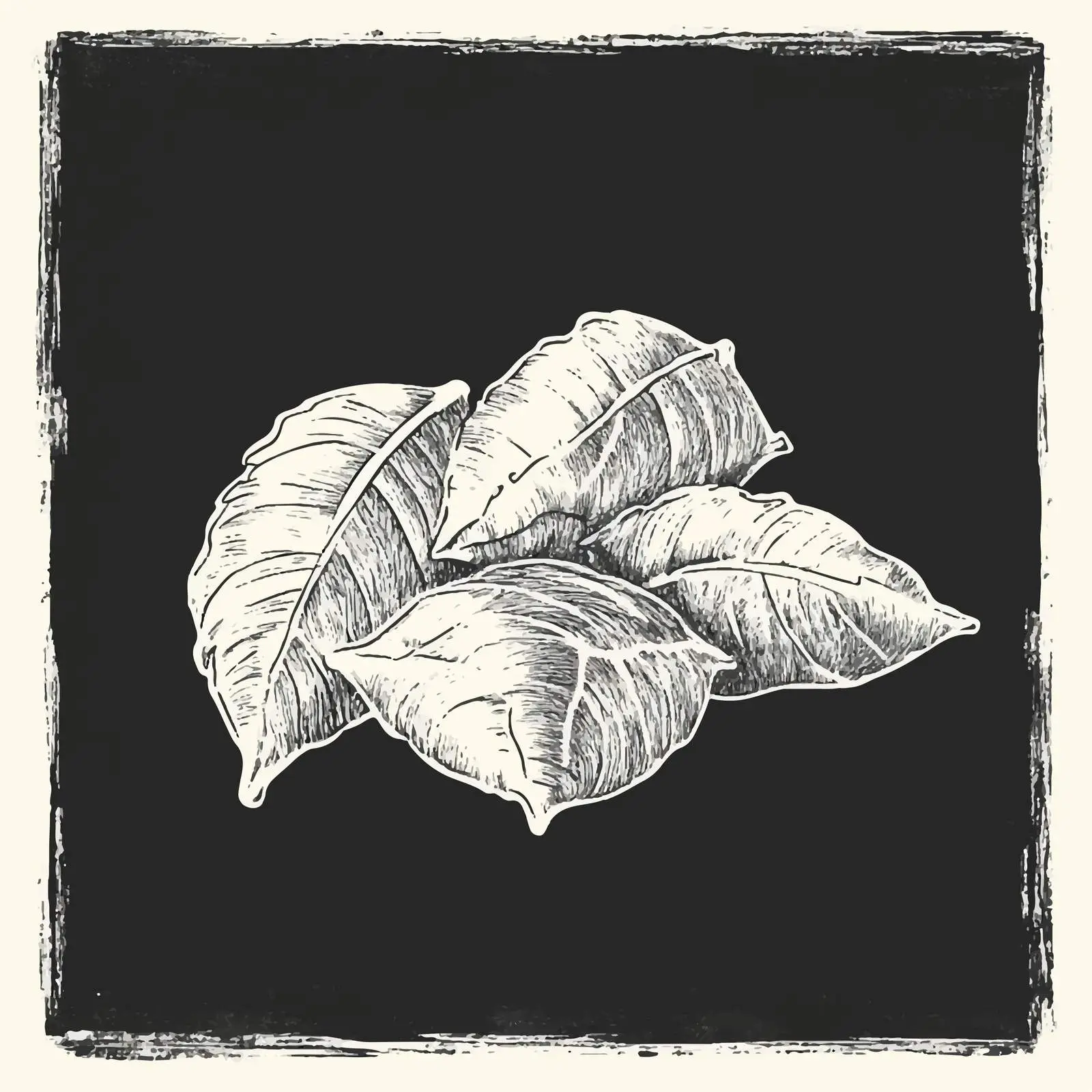 Hand-Drawn Turkish Dolma Chalkboard Sketch — free download from Dotvec