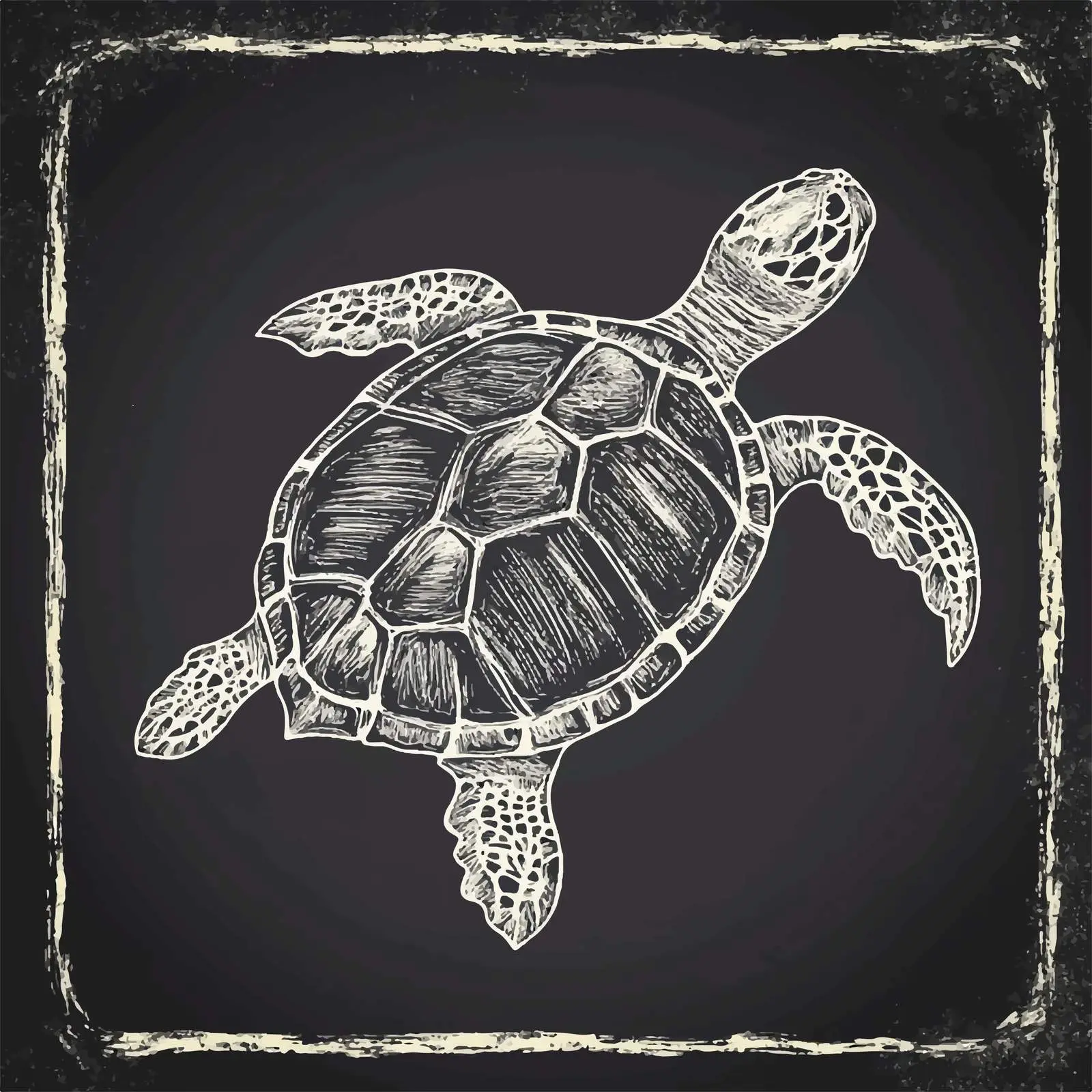 Hand Drawn Turtle Sketch on Chalkboard — free download from Dotvec