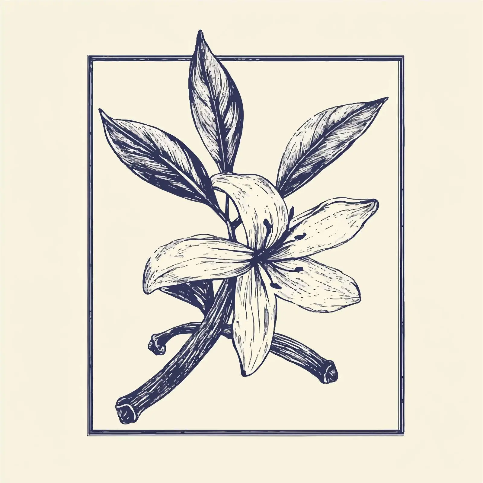 Hand-Drawn Vanilla Herbs and Spices Vector Art — free download from Dotvec