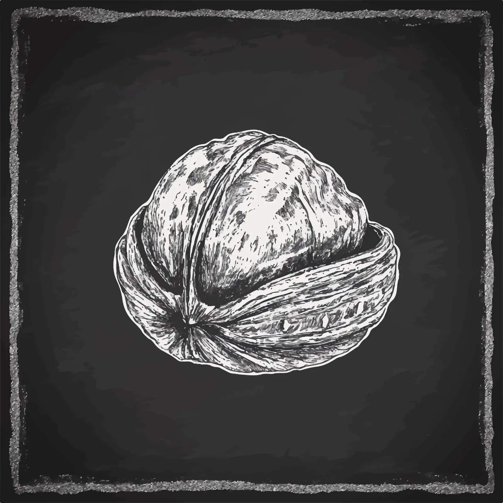 Hand-Drawn Walnut Sketch on Chalkboard — free download from Dotvec