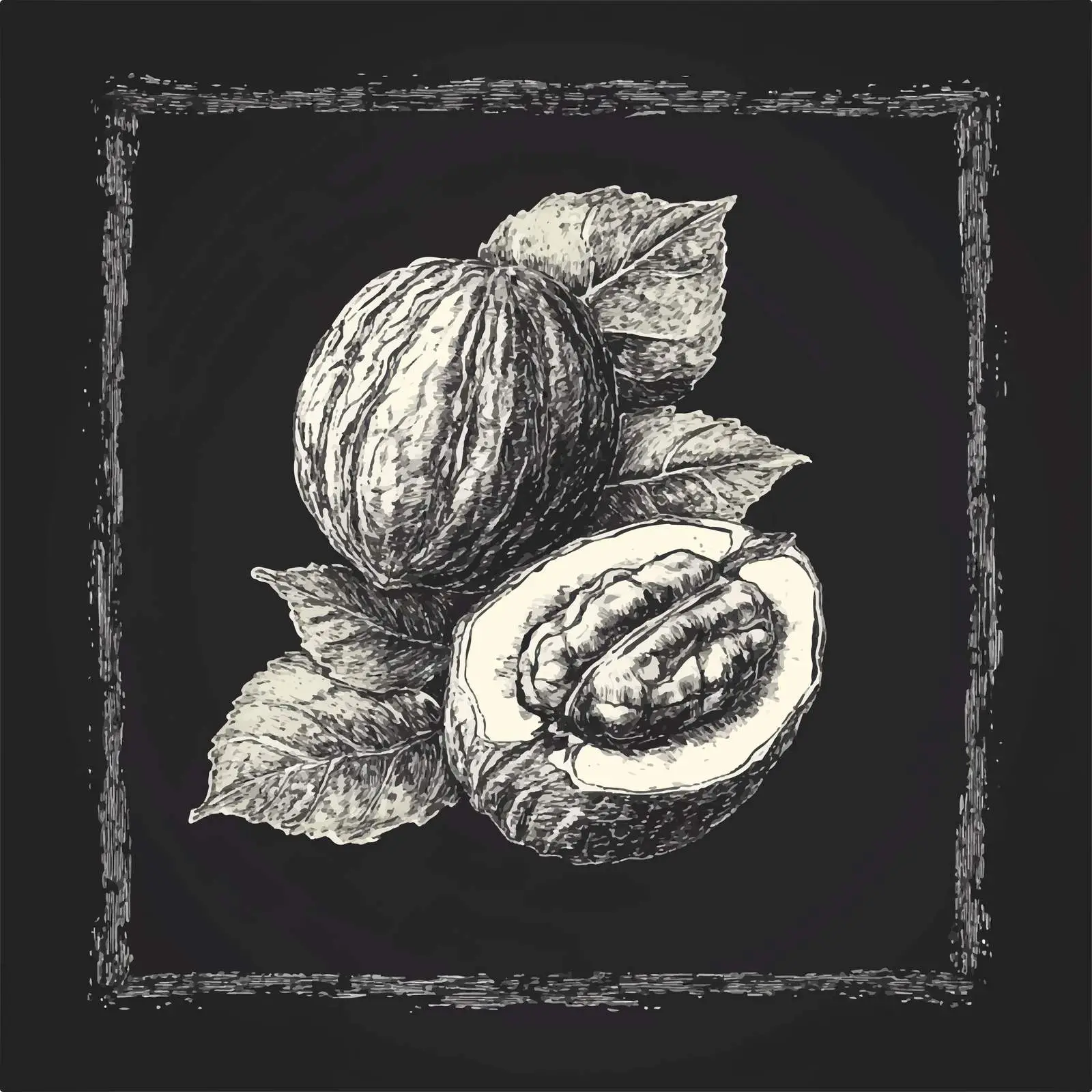 Hand-Drawn Walnut Sketch on Chalkboard — free download from Dotvec