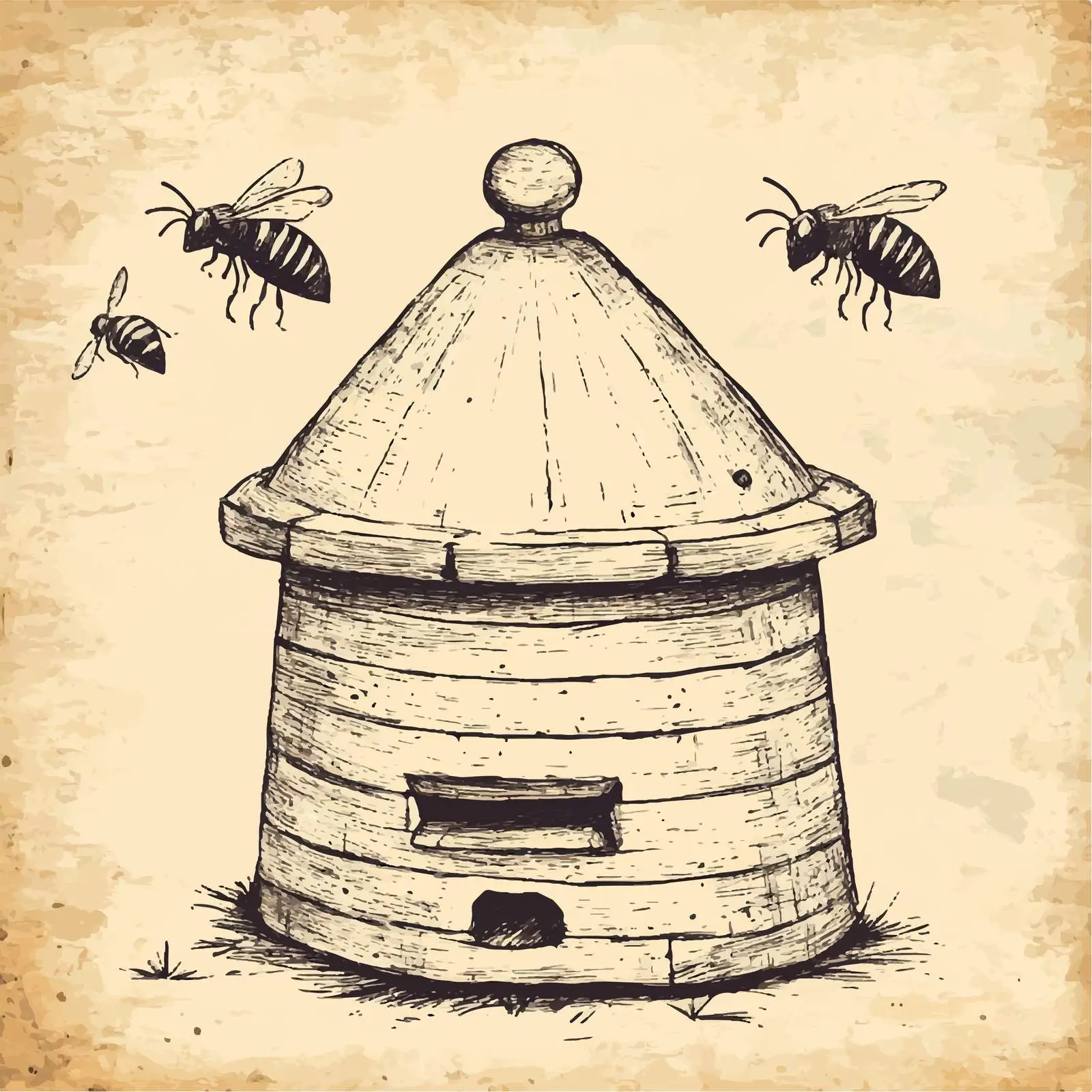 Hand-Drawn Wooden Hive Illustration on Paper — free download from Dotvec