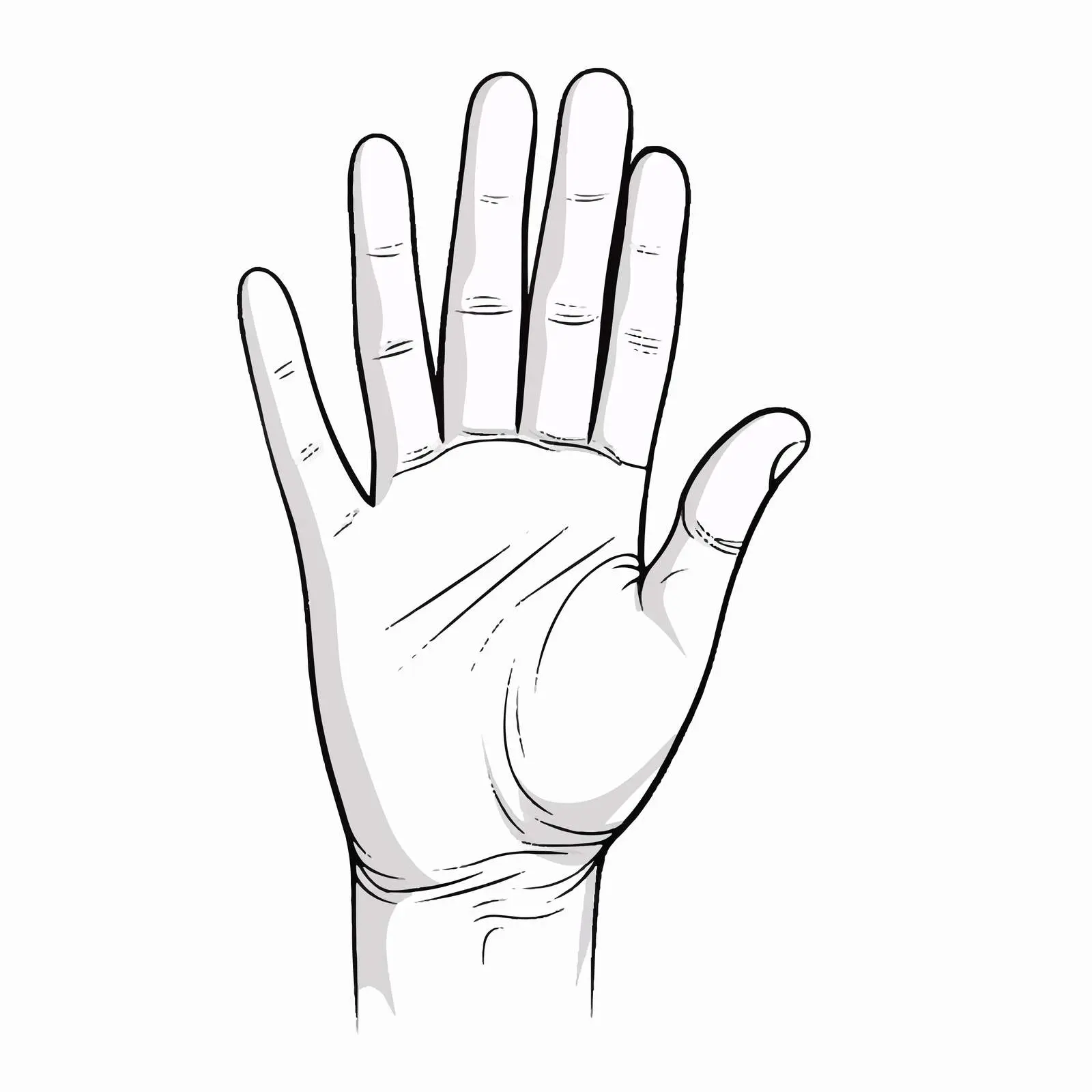 Hand Drawn Line Art Vector Illustration — free download from Dotvec