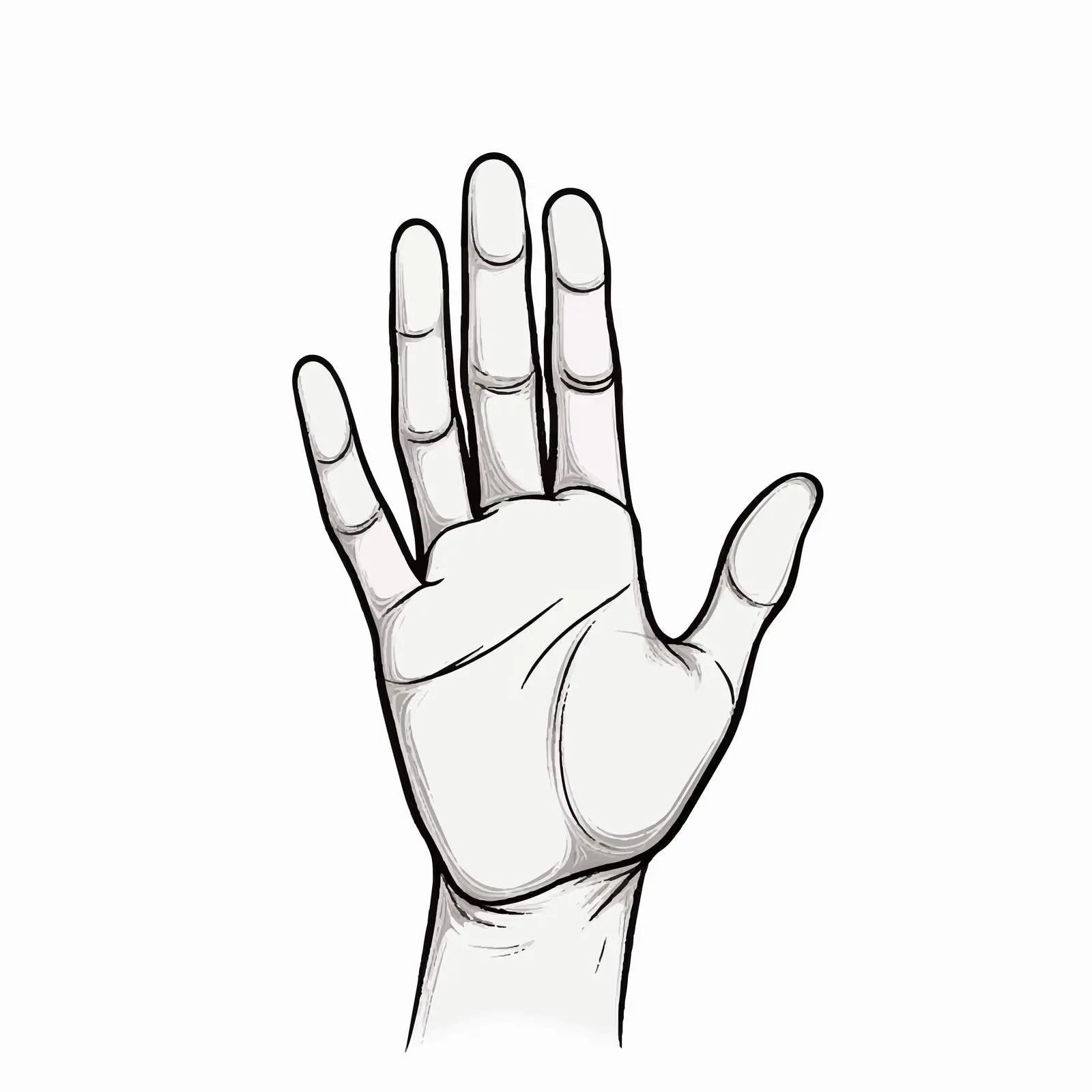 Hand Outline Vector Illustration on White Background — free download from Dotvec