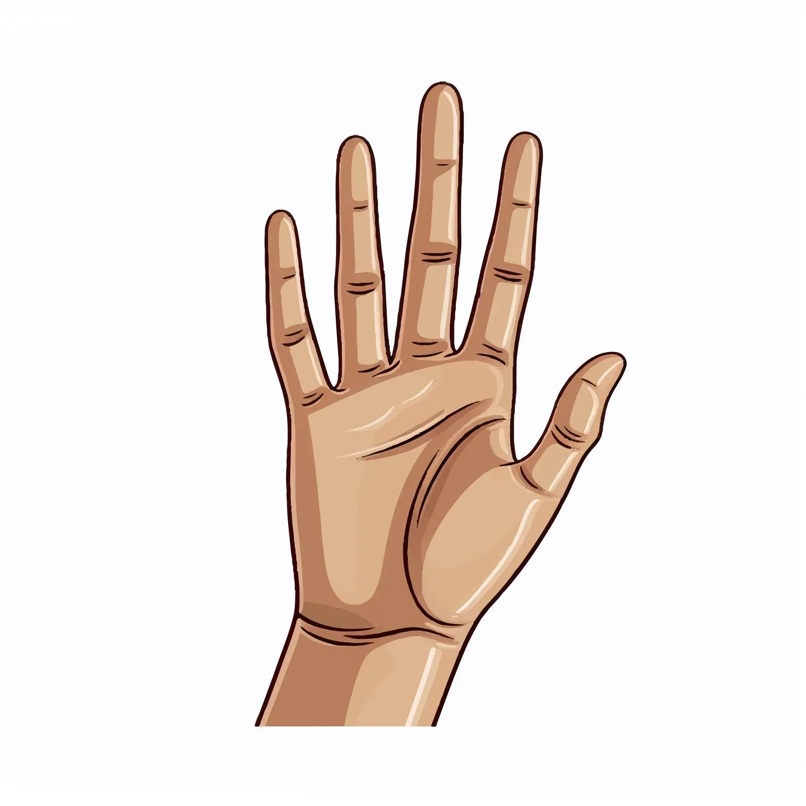 Cartoon Hand Vector Illustration Isolated Design — free download from Dotvec