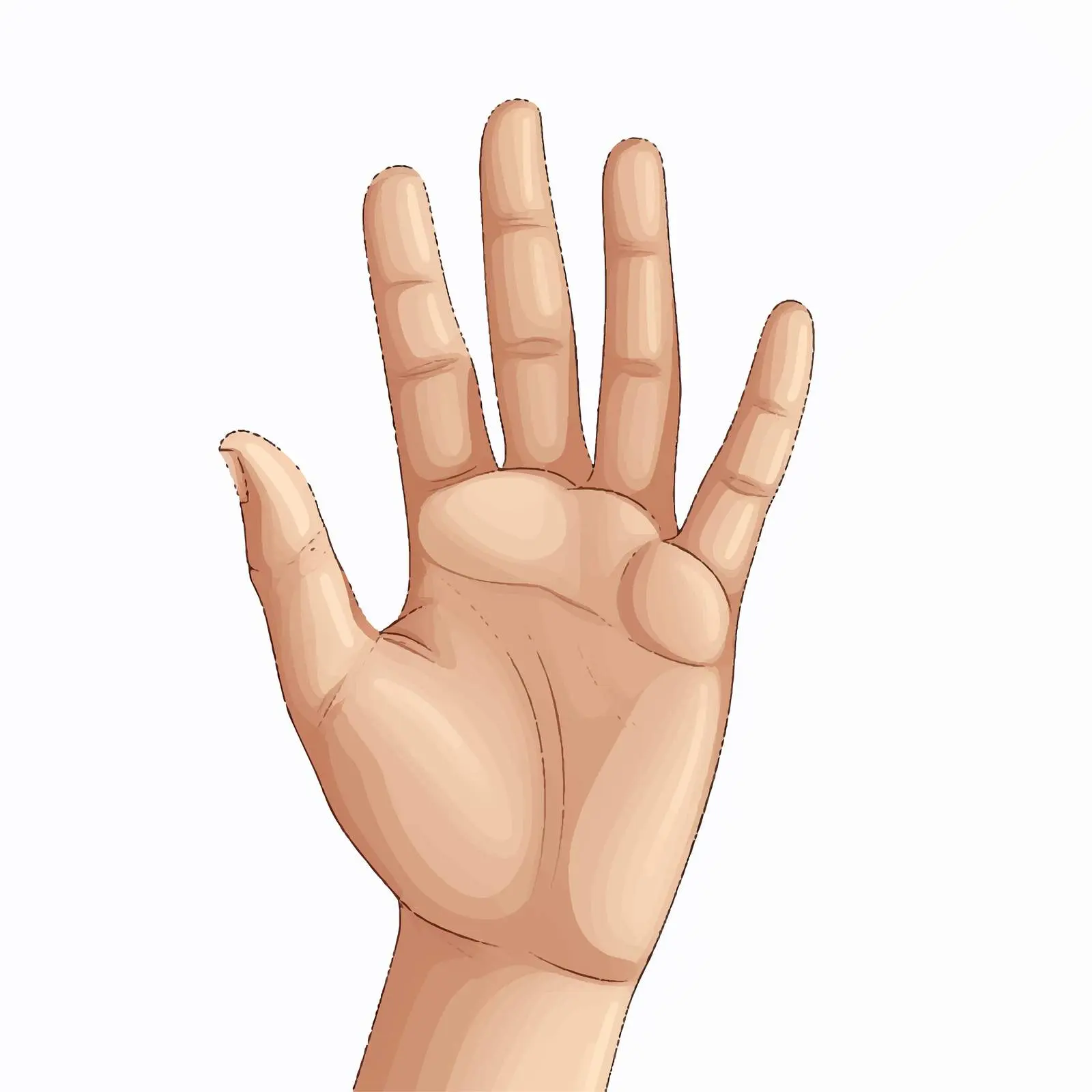 Hand Vector Illustration on White Background — free download from Dotvec