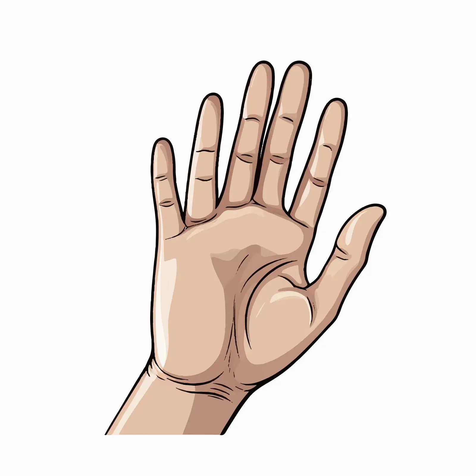 Top View Hand Vector Illustration on White Background — free download from Dotvec