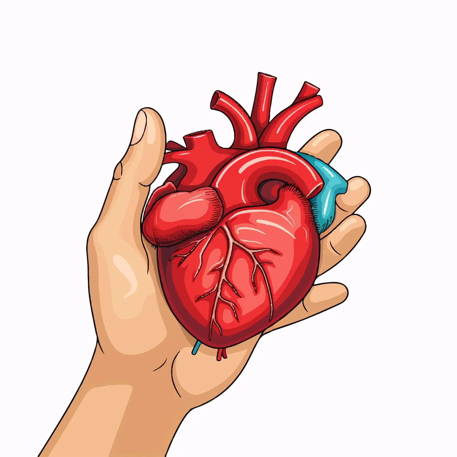 Cartoon Heart Health Icon Vector Illustration – free blood image from Dotvec