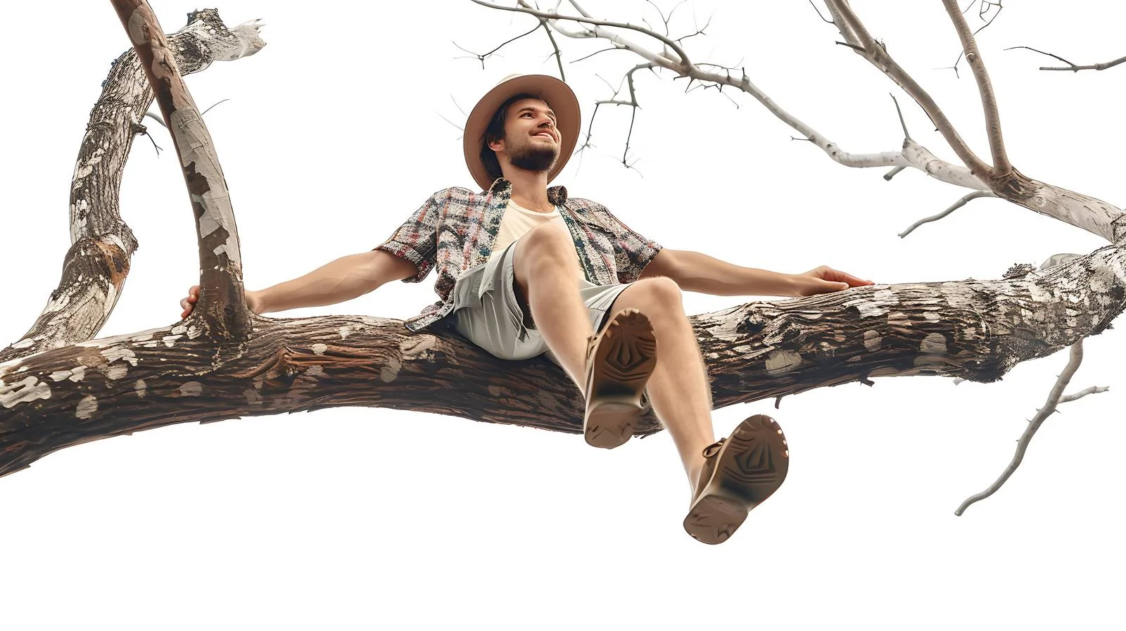 Cheerful Man Relaxing on Tree Branches — free download from Dotvec