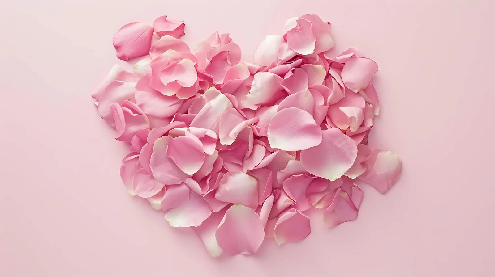 Heart Shaped Pink Rose Petals on Pastel Background – free scented image from Dotvec