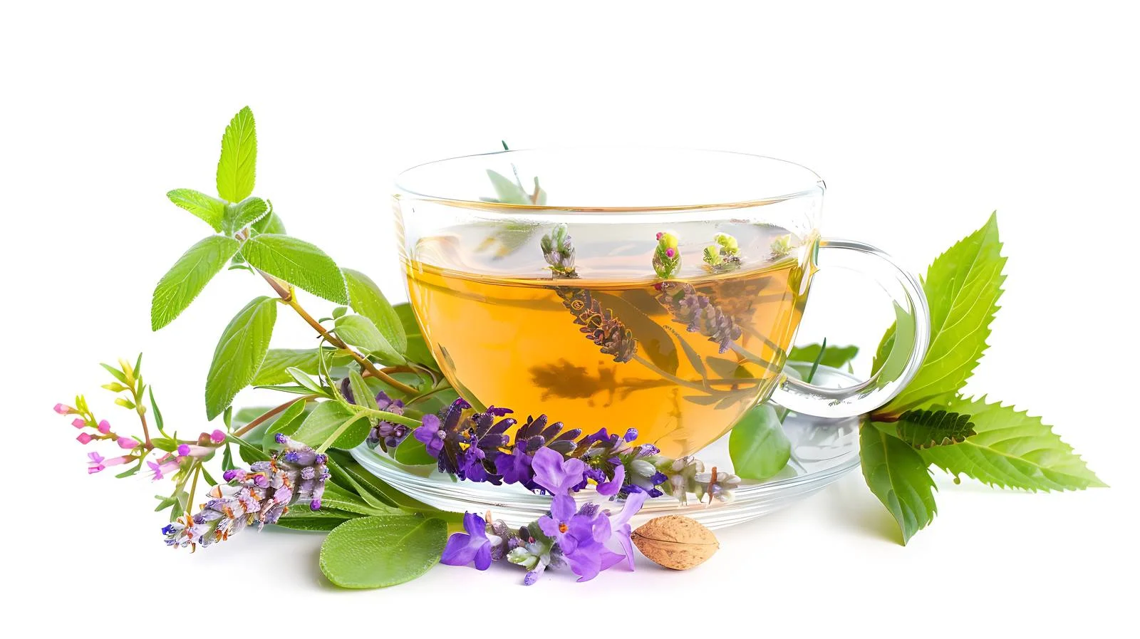 Tranquil Herbal Harmony: Nature's Health Elixir – free elixir image from Dotvec