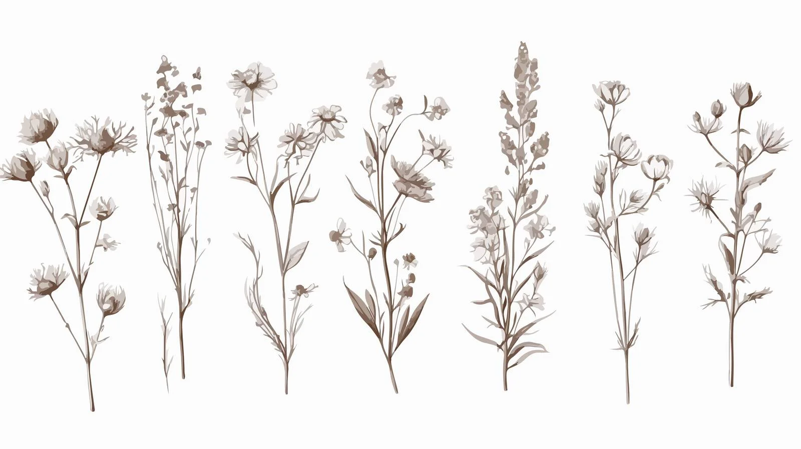 Hand-Drawn Medical Herb Collection — free download from Dotvec